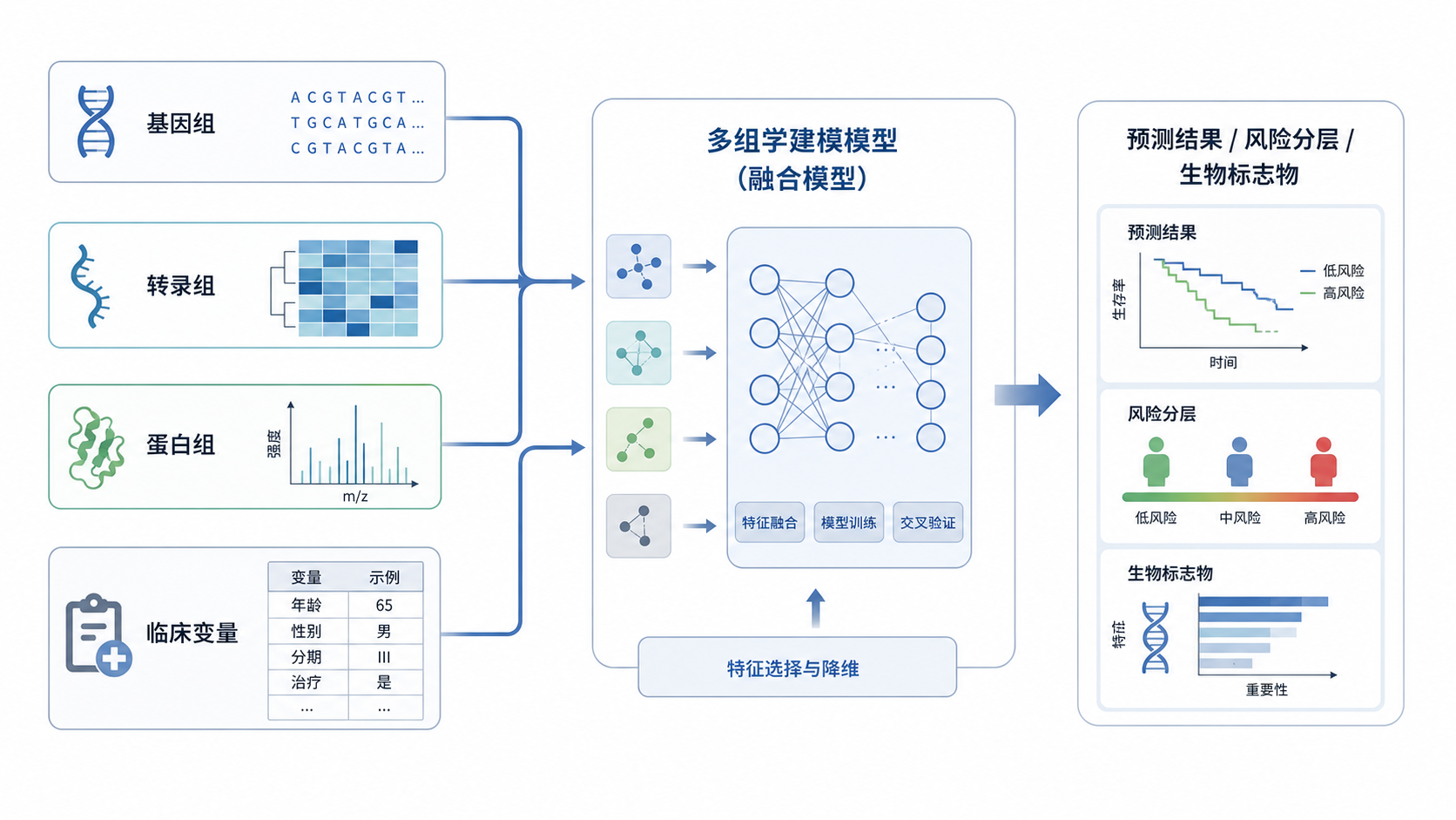 多组学数据流向模型的流程图,包含基因组、转录组、蛋白组、临床变量汇入建模框架的示意图