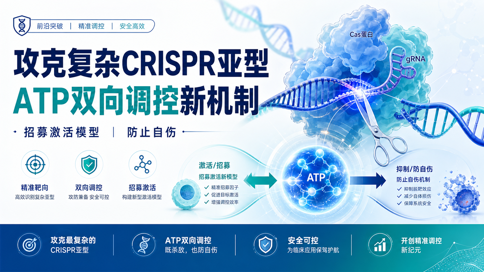 每日资讯速递2026-08-16-山大团队揭示I-A型CRISPR激活新机制