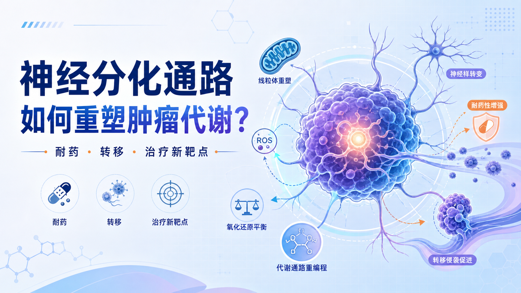 靶向神经分化通路逆转癌细胞代谢重塑:治疗耐药与转移防治的新兴突破口