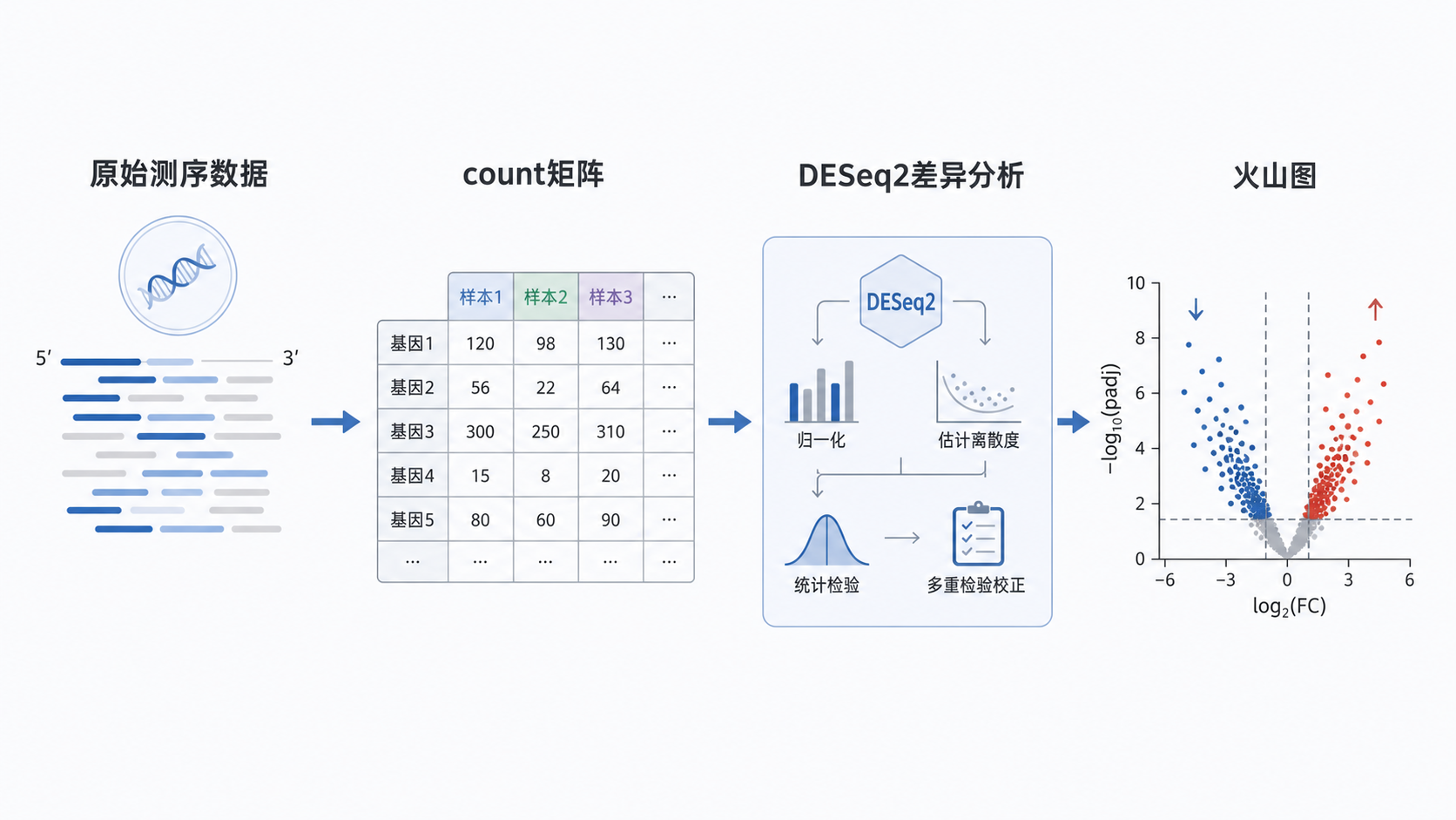 一张RNA-seq分析流程示意图,包含原始测序数据、count矩阵、DESeq2差异分析、火山图和热图几个关键节点,风格专业简洁。