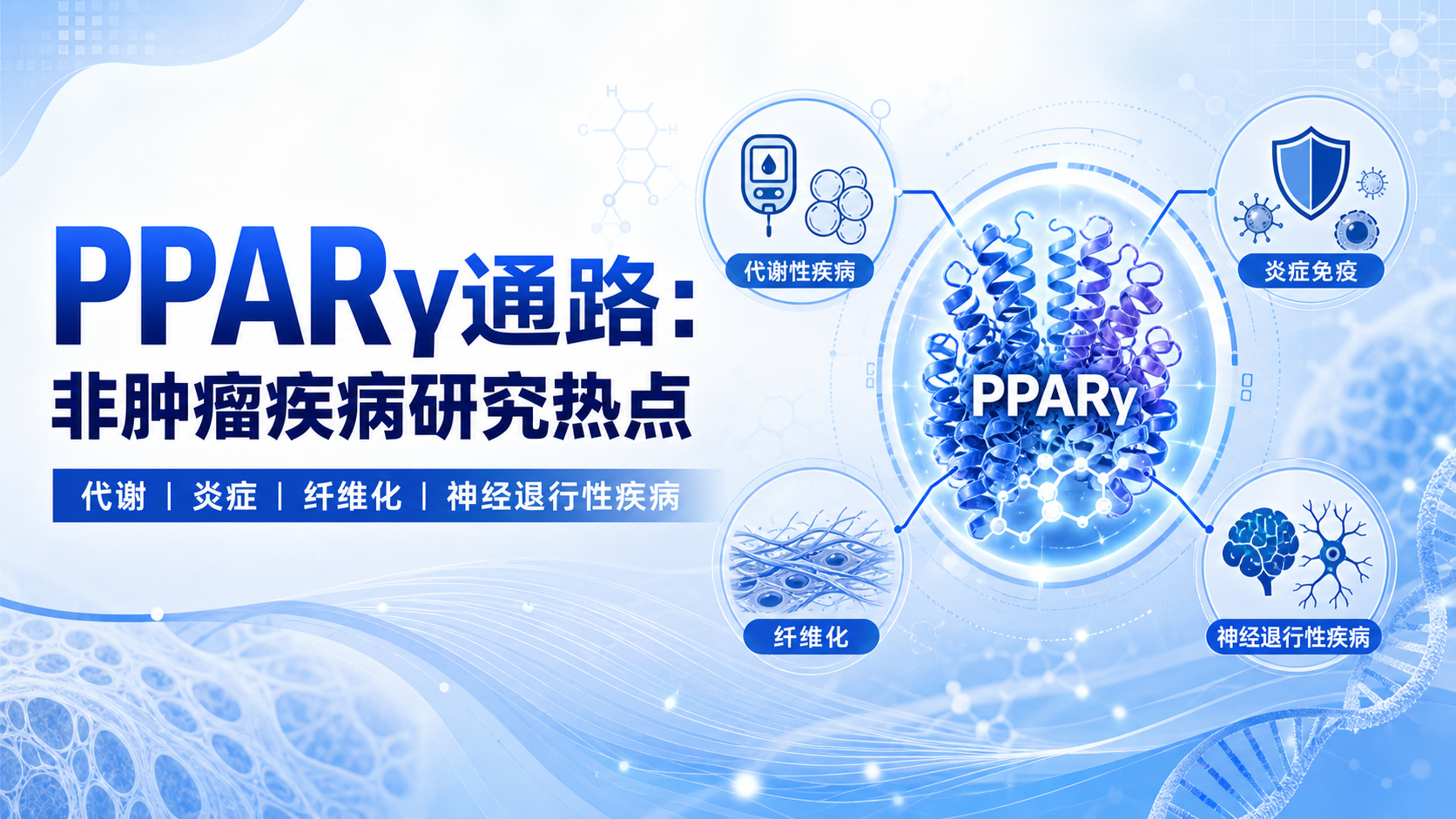 PPARγ通路在非肿瘤疾病中的研究热点与创新思路