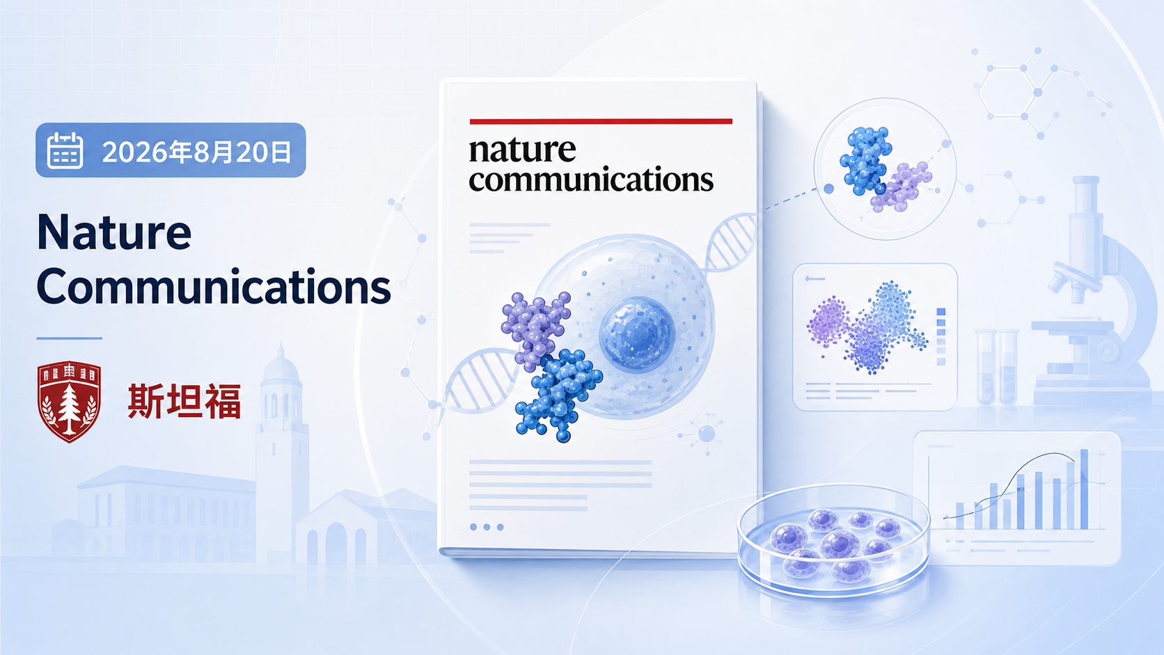 2026年8月20日资讯,《自然·通讯》(Nature Communications)发表斯坦福大学Hawa Racine Thiam团队(联合克利夫兰诊所)的研究,揭示中性粒细胞胞外诱捕网(NETosis)执行的新机制:细胞核内染色质去致密化(chromatin decompaction)会增加质膜张力,从而促进NETosis的完成,且这一过程独立于转录。该发现从生物物理(力学)角度补充了学界对NETosis调控的认知。