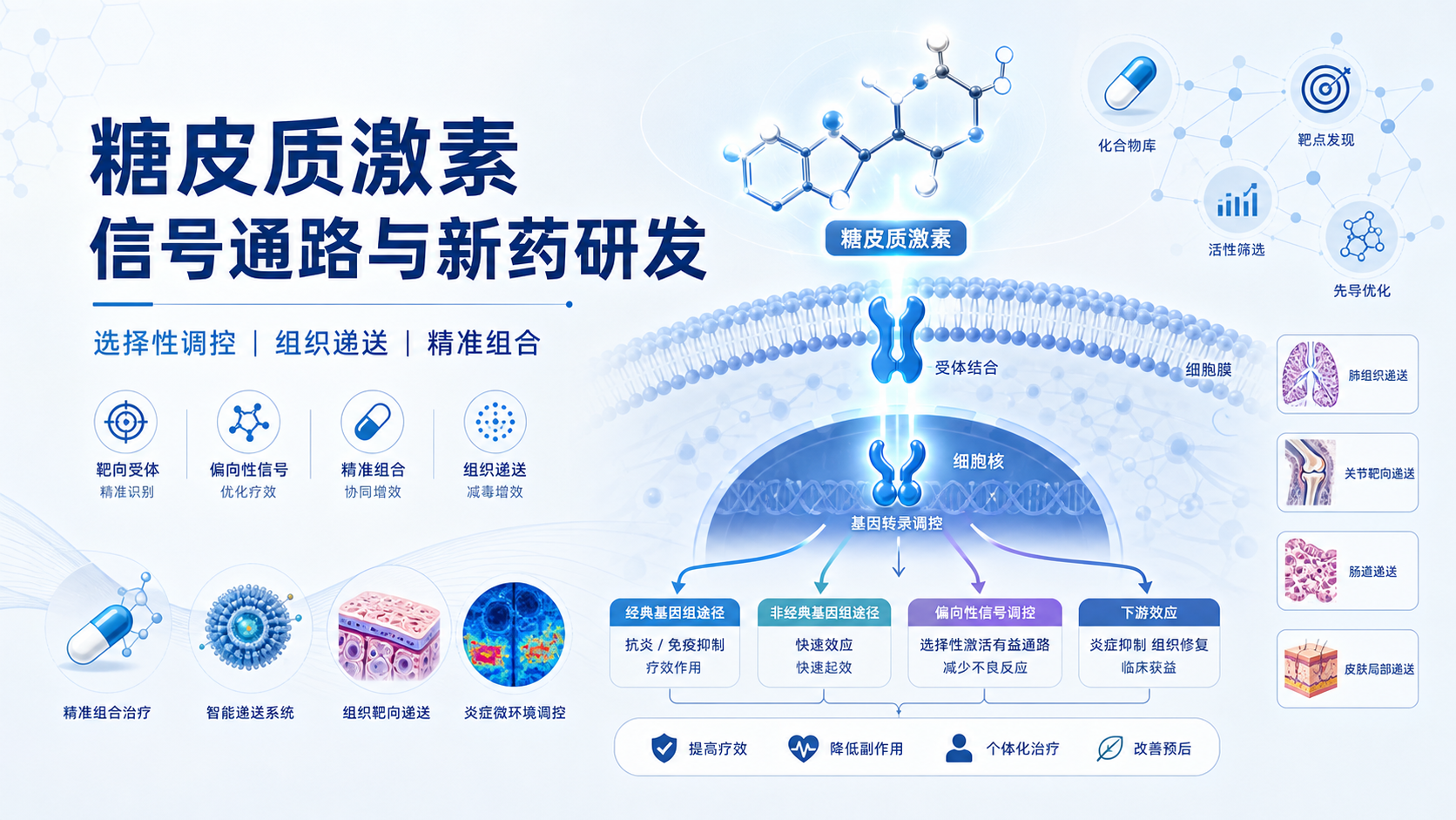 靶向糖皮质激素信号通路的新药研发进展