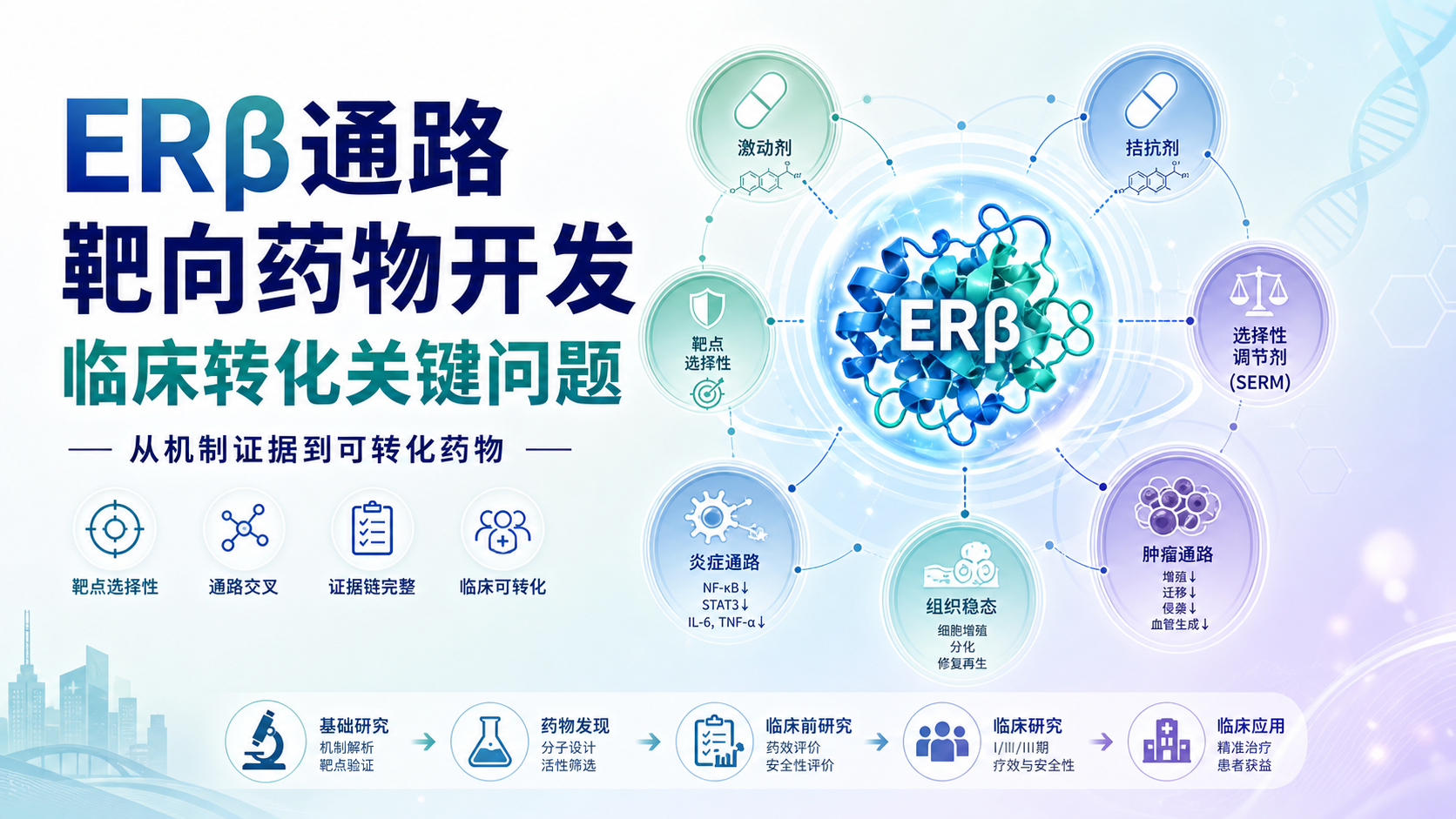 ERβ靶向药物开发：基于信号通路的临床转化前景