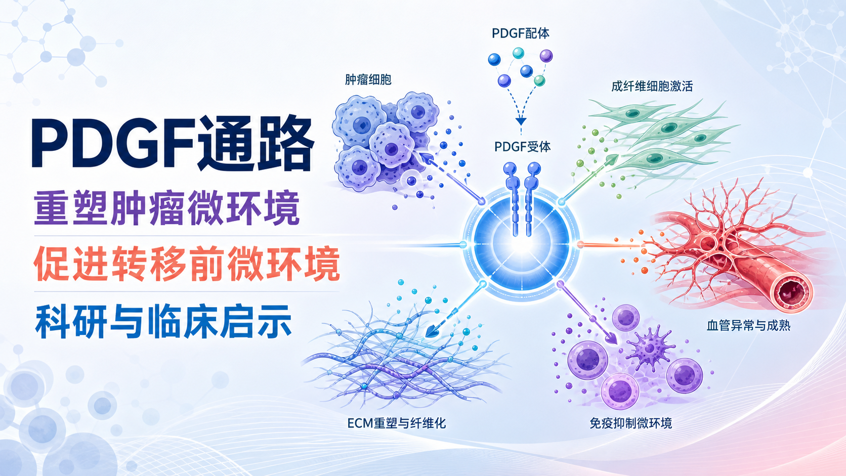 血小板衍生生长因子通路调控肿瘤微环境的新机制解析