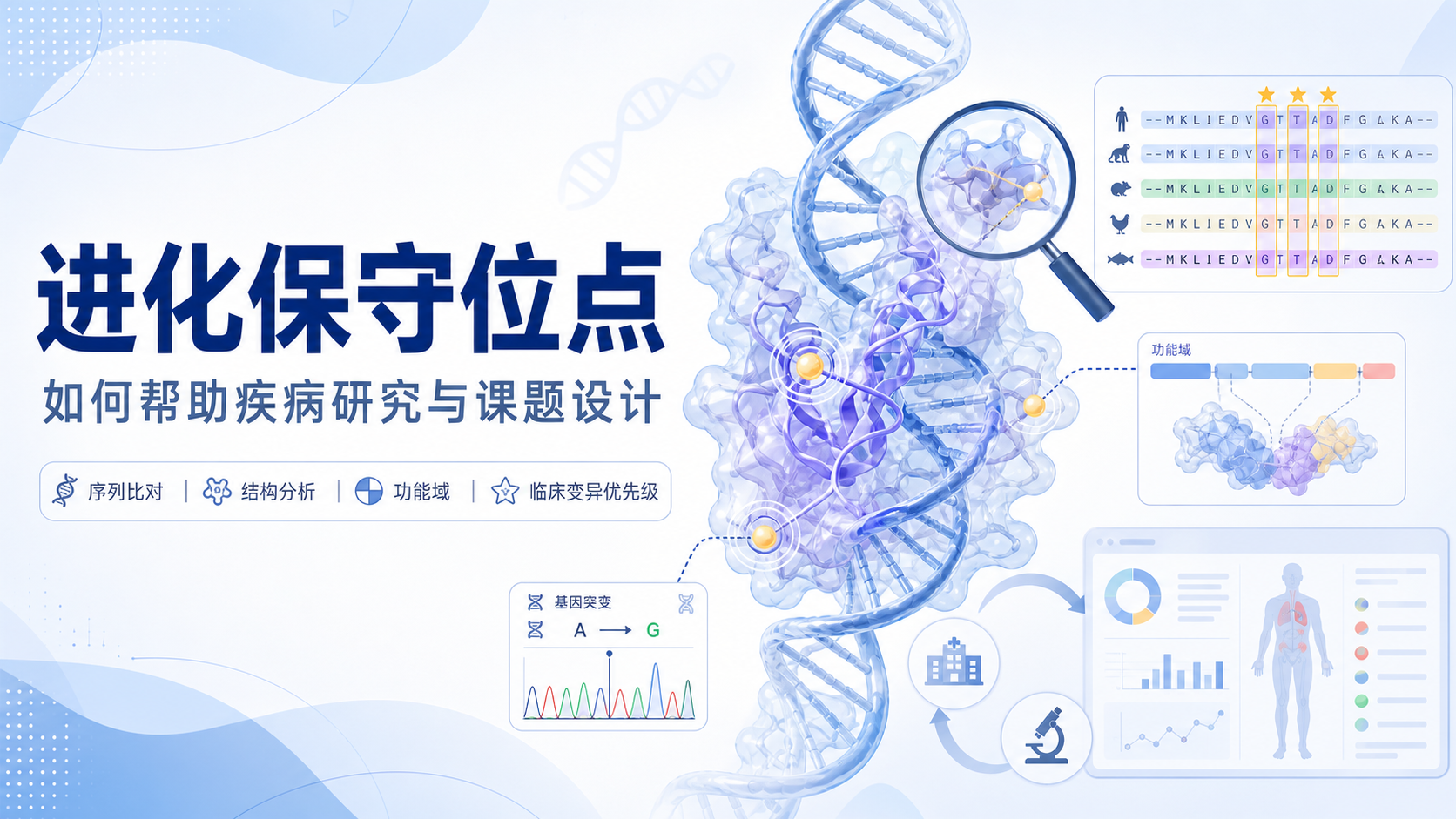 揭秘进化保守位点:从进化视角剖析疾病关键靶点