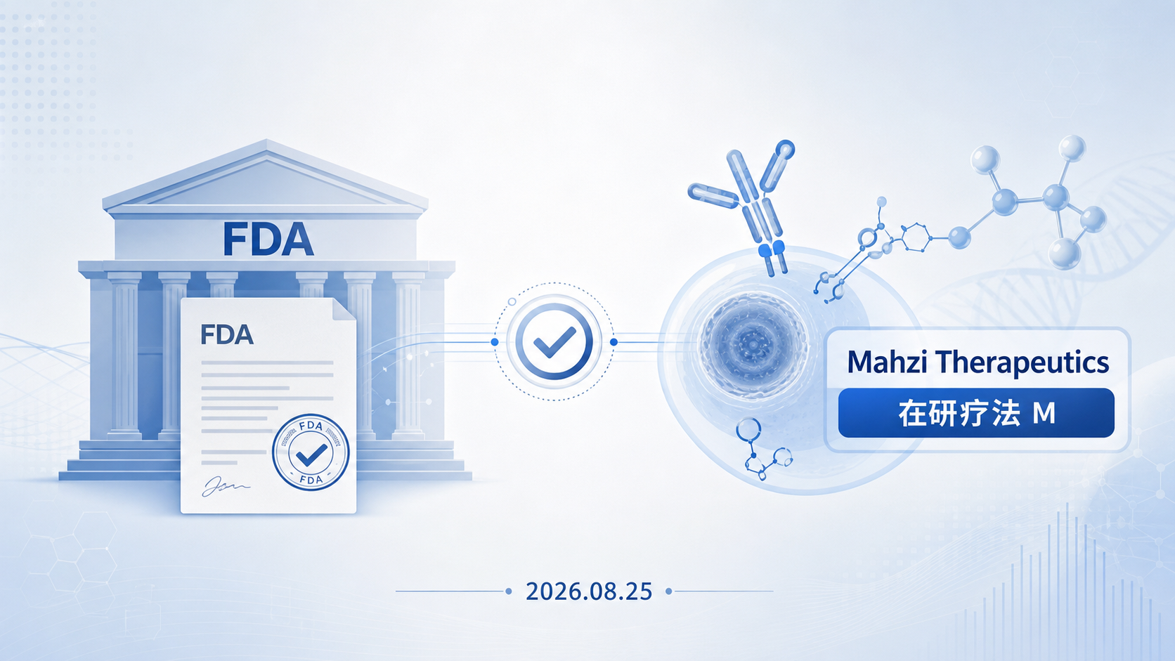 2026年8月25日资讯，美国 FDA 授予 Mahzi Therapeutics 在研疗法 MZ-1866"罕见儿科疾病认定（RPDD）"，用于治疗 Pitt Hopkins 综合征（PTHS）。这是一款 AAV9 基因替代疗法，通过递送功能性的 TCF4 基因拷贝，直击这一罕见神经发育障碍的分子根源。其 Ⅰ/Ⅱ 期 UNITE 研究入组已过半。