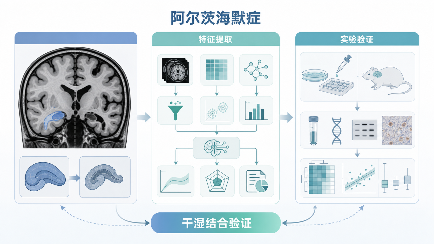 阿尔茨海默症脑部MRI影像、特征提取流程图与实验验证示意图组合,突出“干湿结合验证”主题