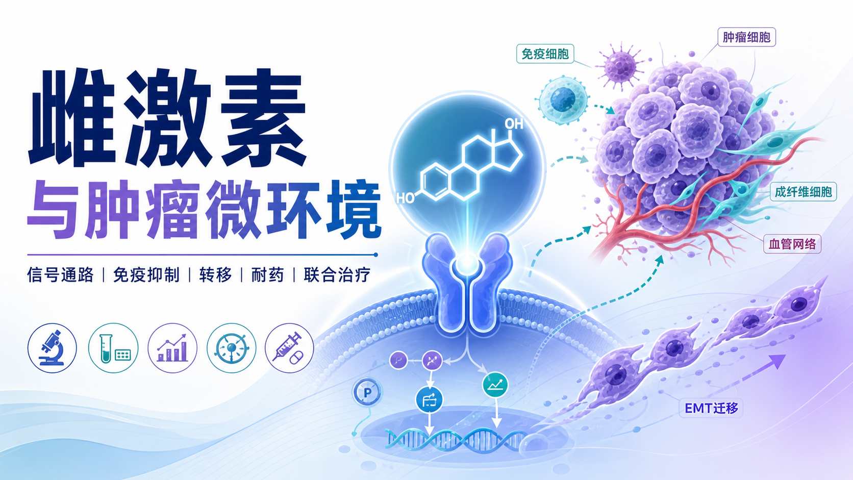 雌激素信号通路与肿瘤微环境互作：前沿研究精要