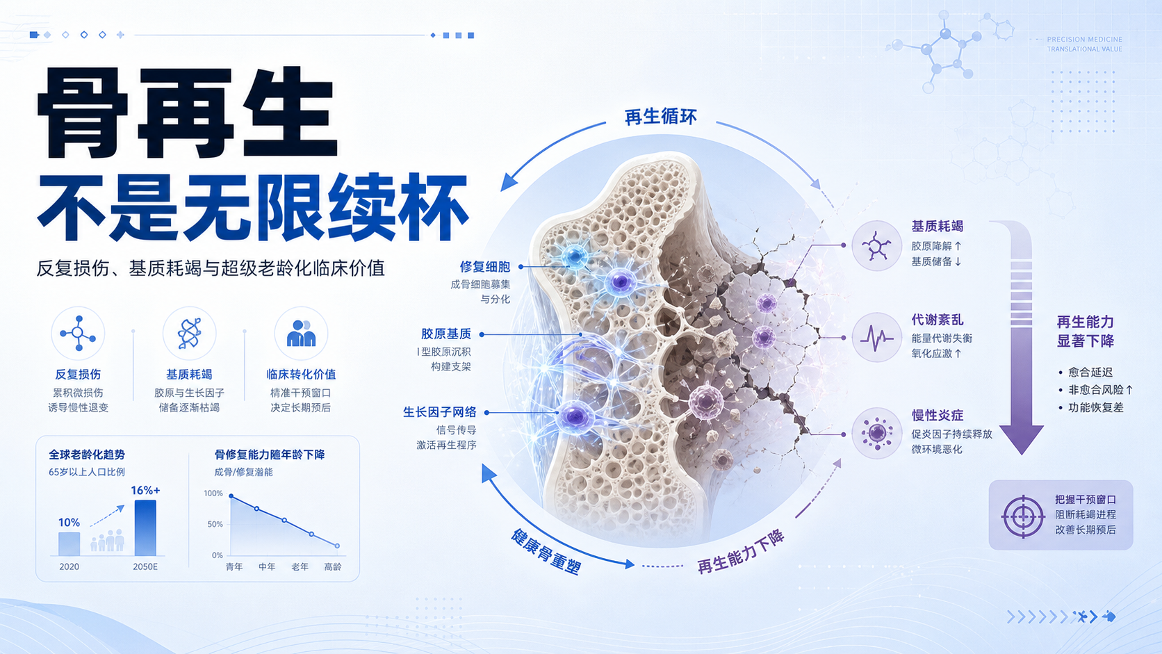 每日资讯速递2026-08-19-NatureCommunications骨基质细胞耗竭限制骨折再生