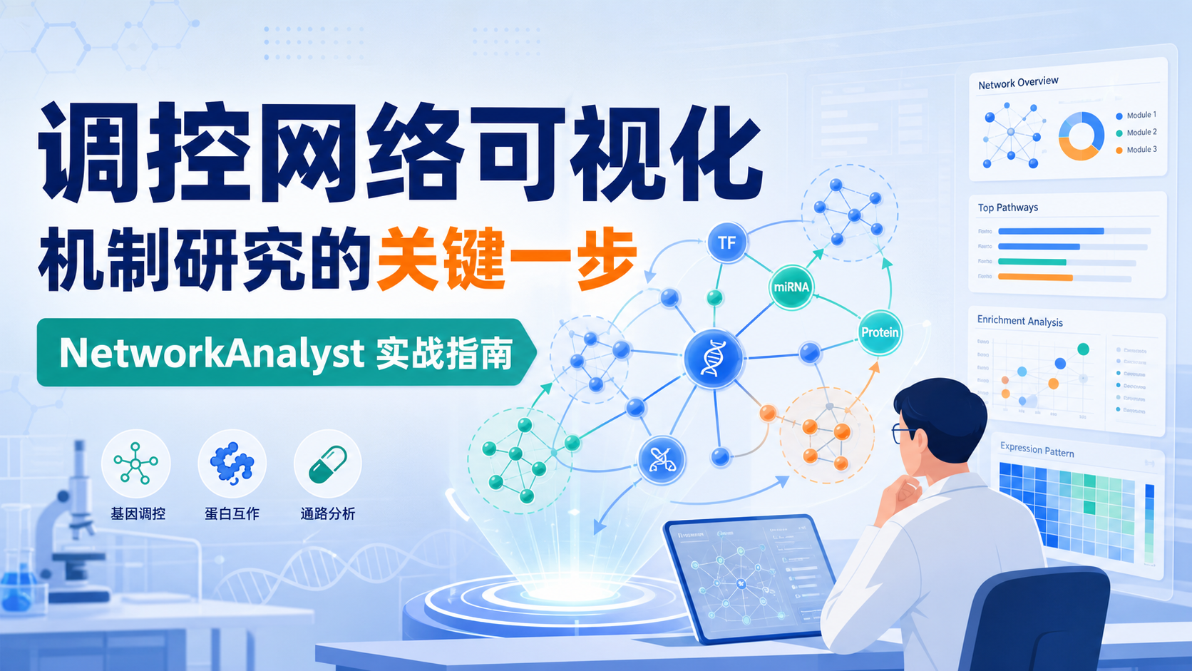 调控网络可视化利器:助你精准解读生物机制