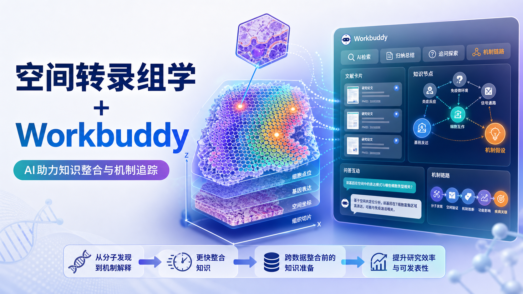 空间转录组学遇上Workbuddy:从分子发现到机制模拟的实战