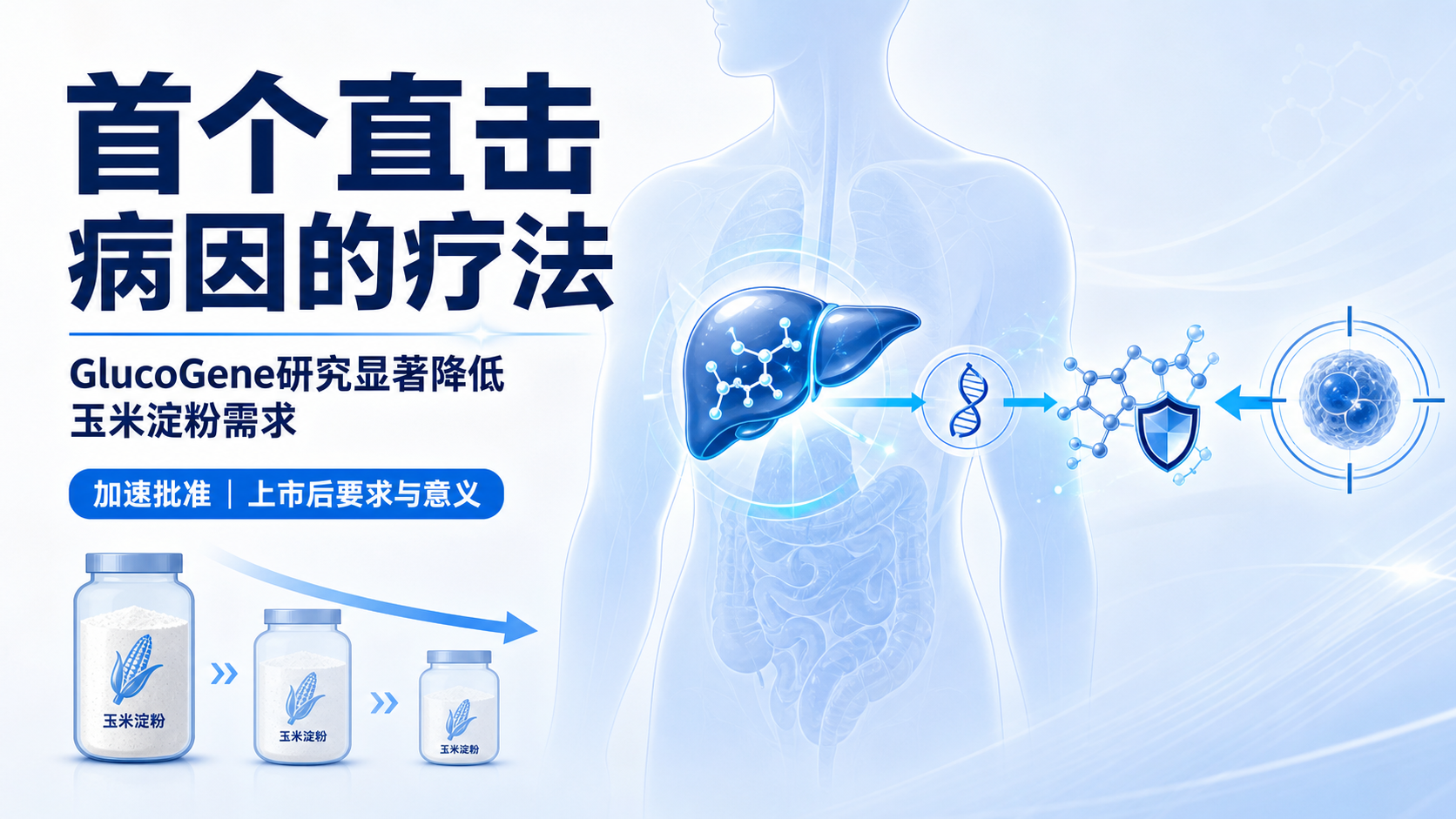 每日资讯速递2026-08-19-FDA批准首款糖原累积症Ia型基因治疗Genglycos