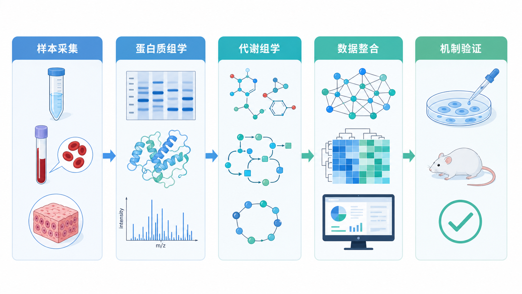 多组学研究流程示意图，包含样本采集、蛋白质组学、代谢组学、数据整合和机制验证五个模块，整体风格专业简洁。