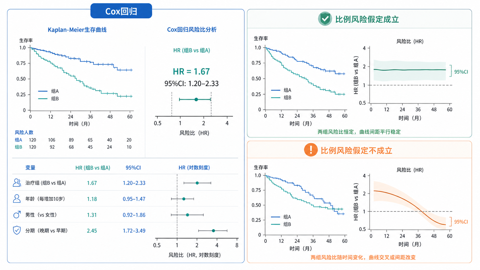 生存曲线与Cox回归分析示意图，旁边标注比例风险假定成立与不成立的对比