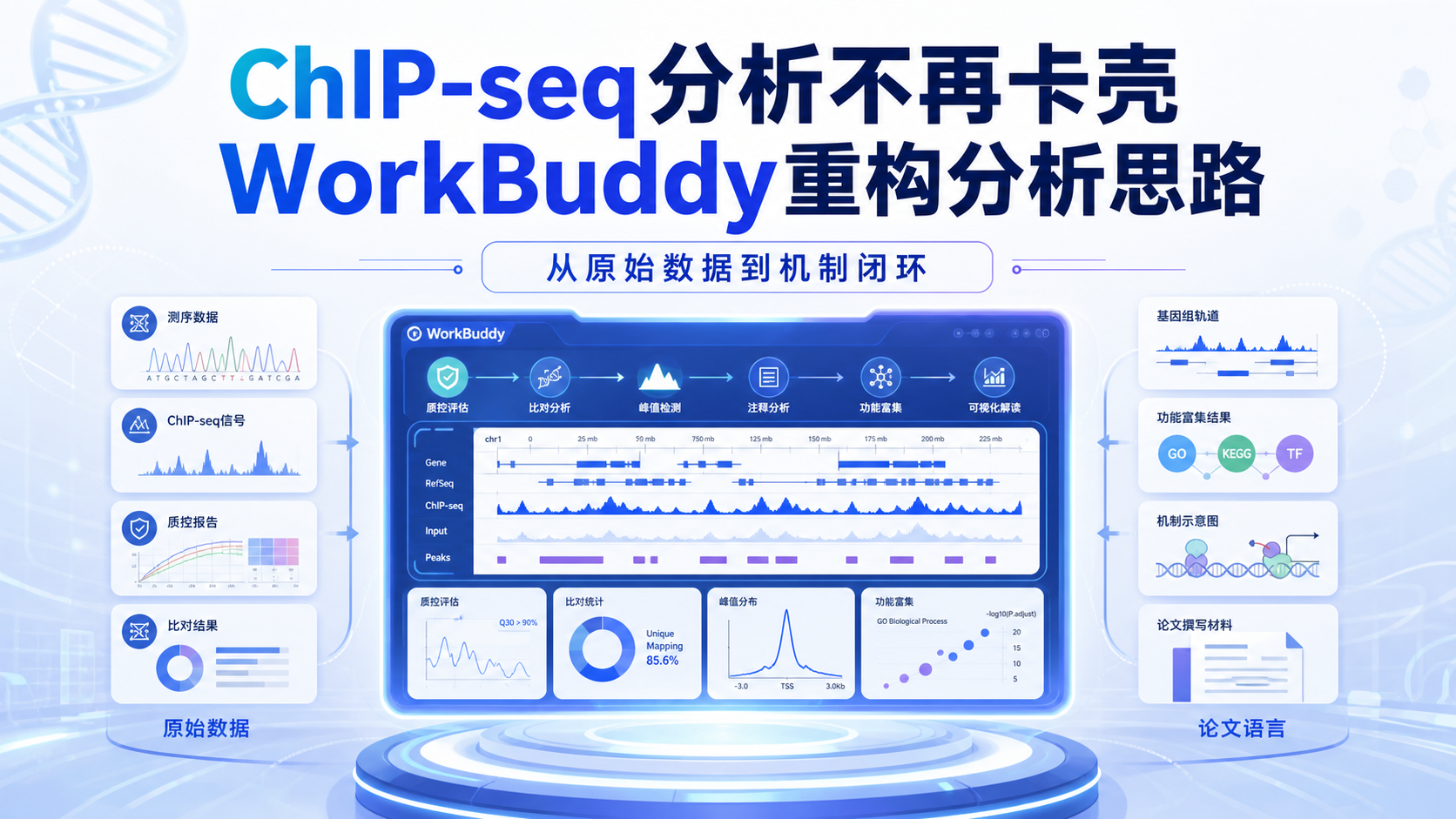 WorkBuddy赋能ChIP-seq数据解析新策略