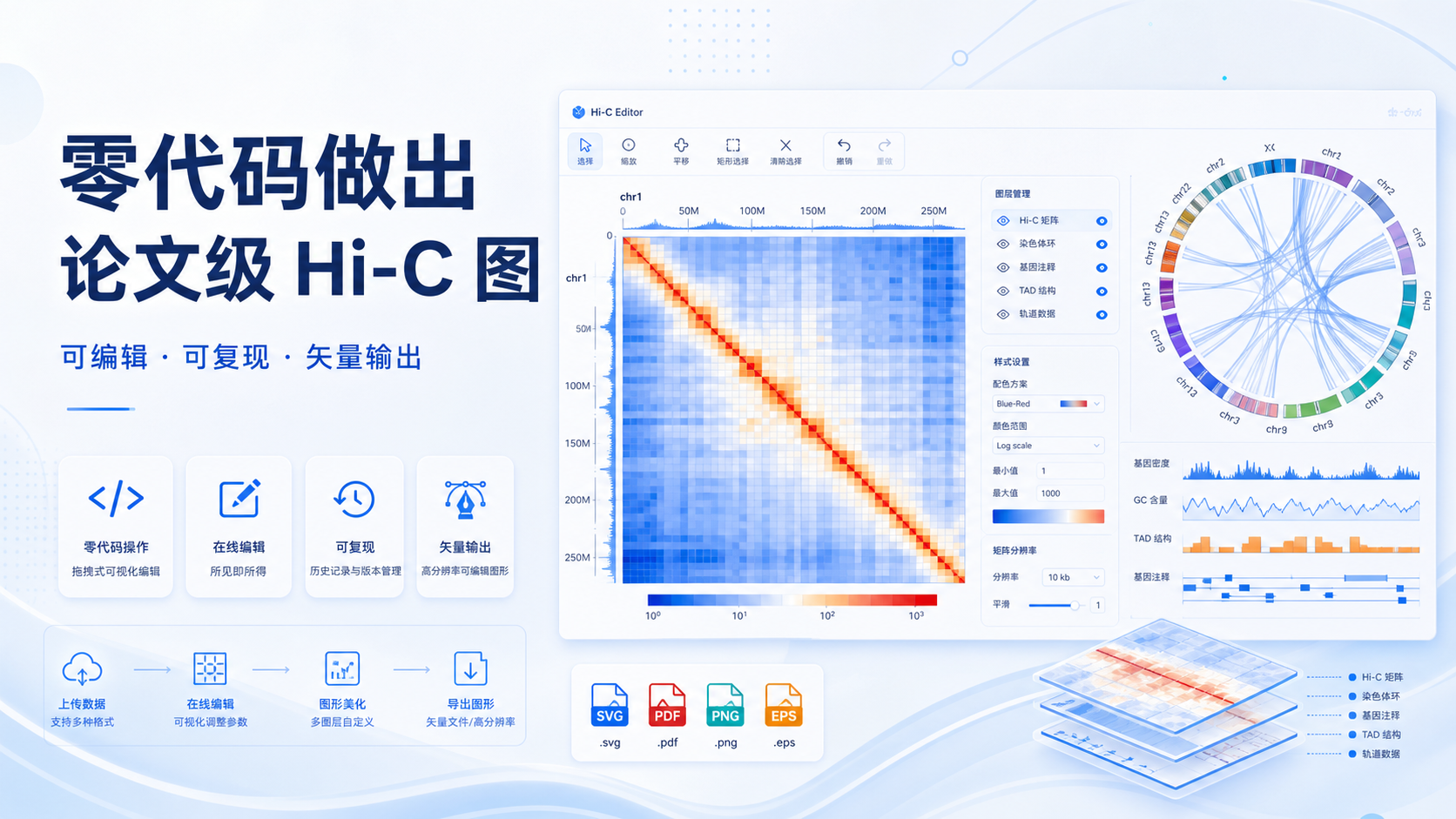 Hi-C数据可视化零代码新范式:论文级矢量图速成