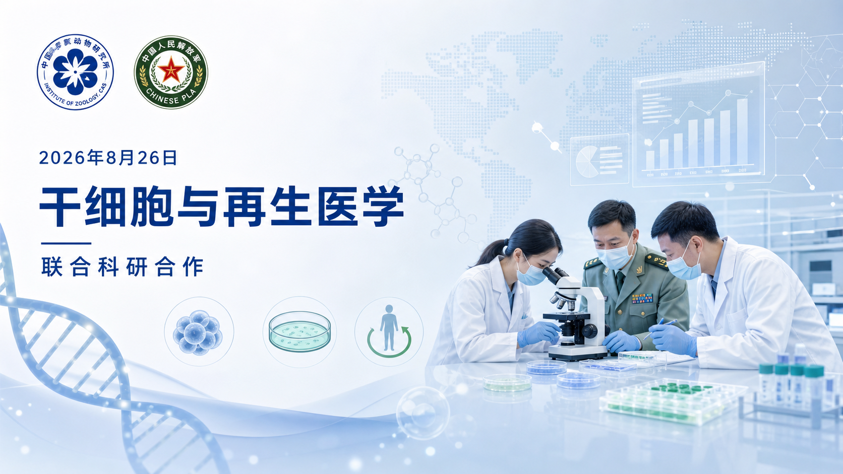 2026年8月26日资讯,中国科学院动物研究所干细胞与再生医学全国重点实验室黄仕强团队联合解放军总医院尹鹏滨团队,在《自然·衰老》(Nature Aging)杂志上发表题为"Contractile myographs confer systemic anti-aging benefits"的研究论文。团队将体外分化的自体肌细胞移植到小鼠皮下,构建出能够长期存活并持续自主收缩的成熟肌移植物,这种移植物改善了小鼠的整体肌肉质量和代谢功能,并在老年与肥胖模型中展现了系统性的抗衰老效果,为无法常规运动的人群提供了一种"不运动也能获得运动益处"的全新思路。