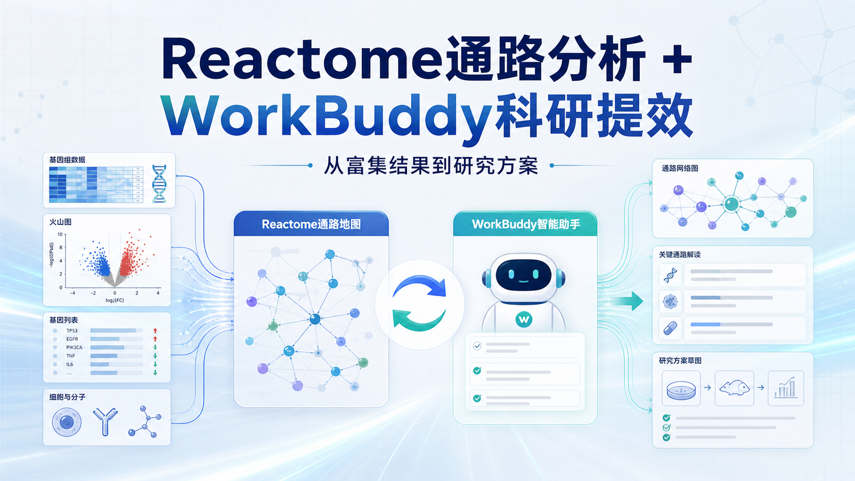 用WorkBuddy整合Reactome，提升生物医学研究效率