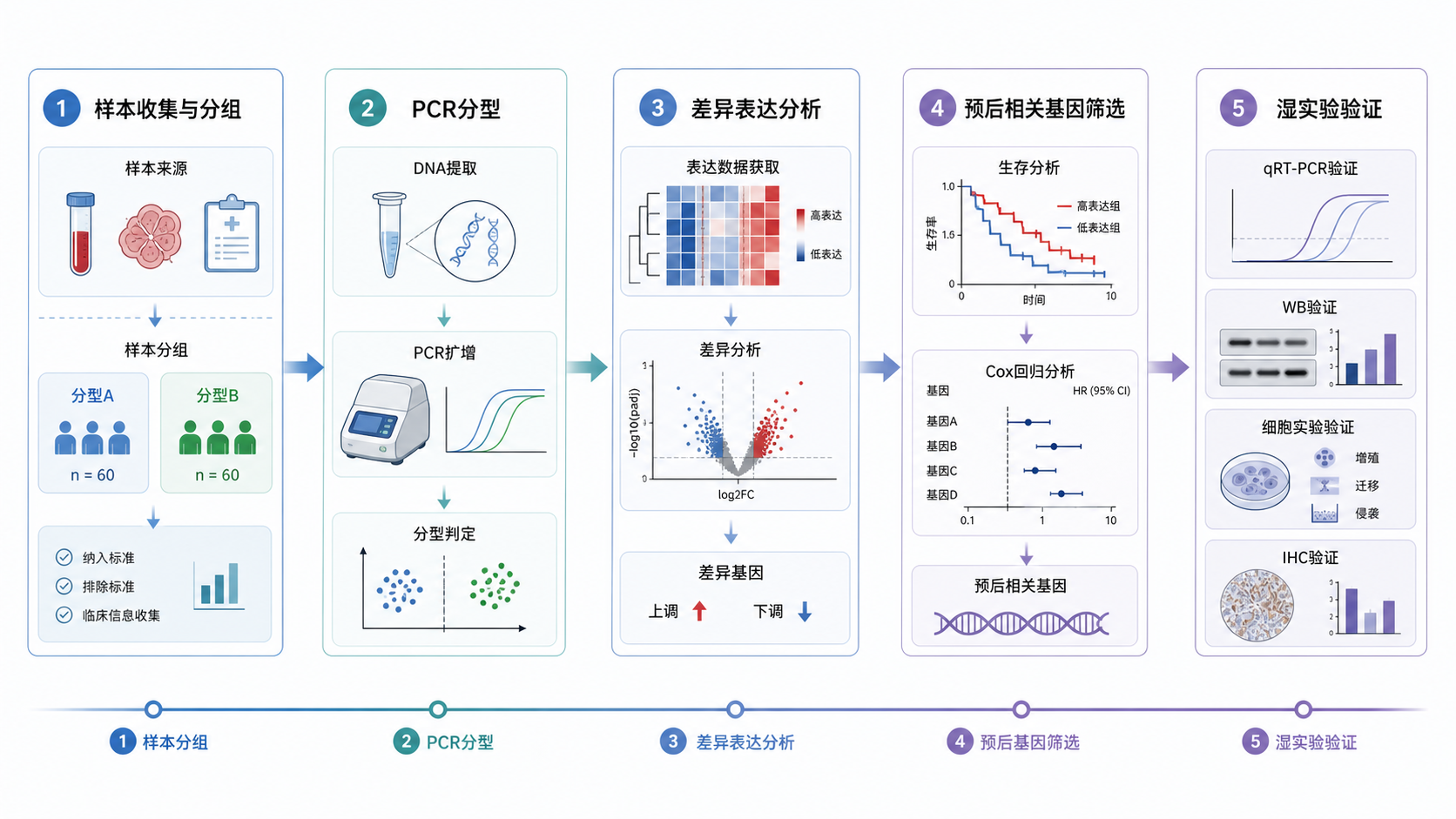 实验流程示意图,展示样本分组、PCR分型、差异表达分析、预后基因筛选到湿实验验证的完整路径