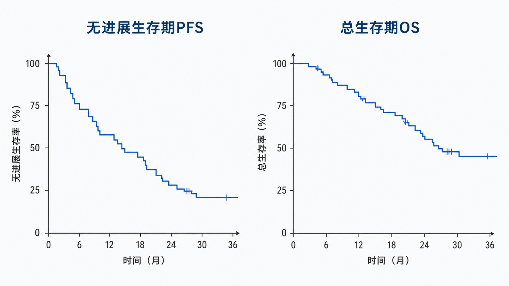 一张对比PFS与OS的Kaplan-Meier生存曲线示意图,左侧标注“无进展生存期PFS”,右侧标注“总生存期OS”,突出两条曲线分离程度不同。