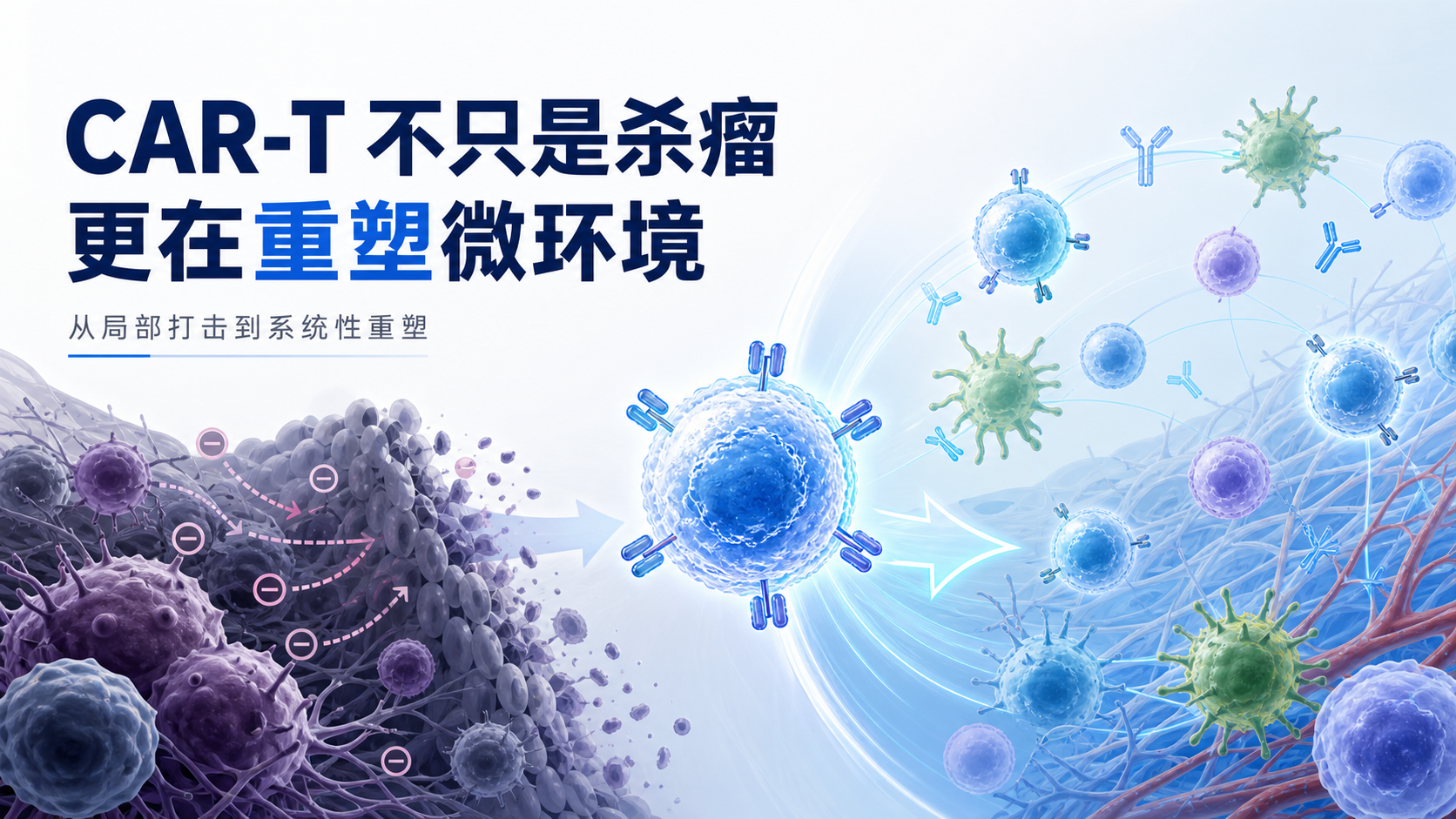 每日资讯速递2026-08-25|Regnase1基因编辑CAR-T治疗骨肉瘤