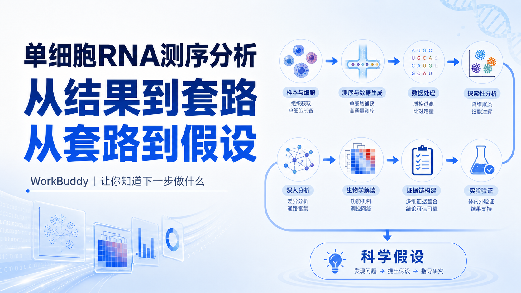 利用WorkBuddy解析单细胞转录组：从核心分析套路到科学假设