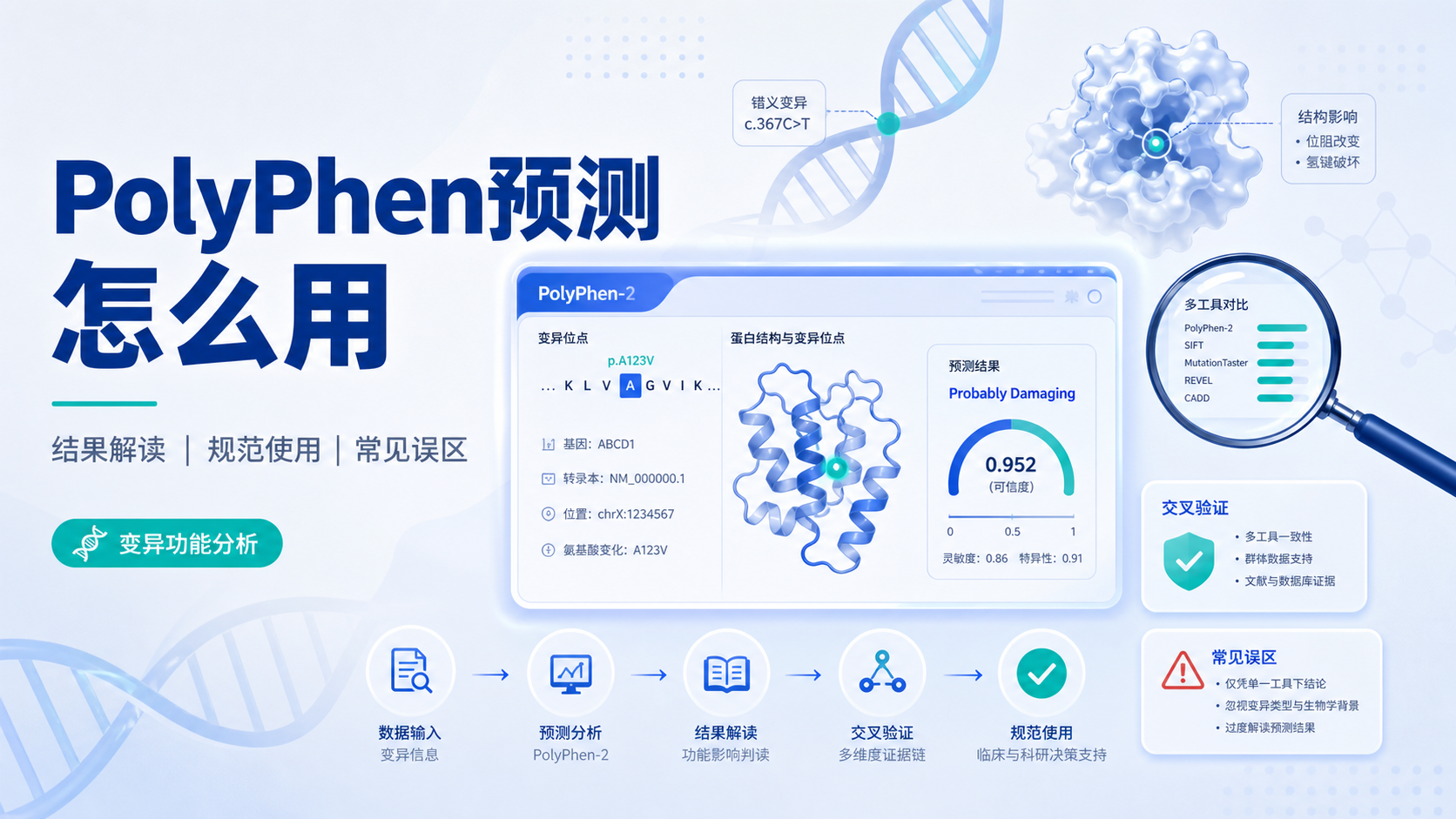 如何用PolyPhen预测精准定位功能变异