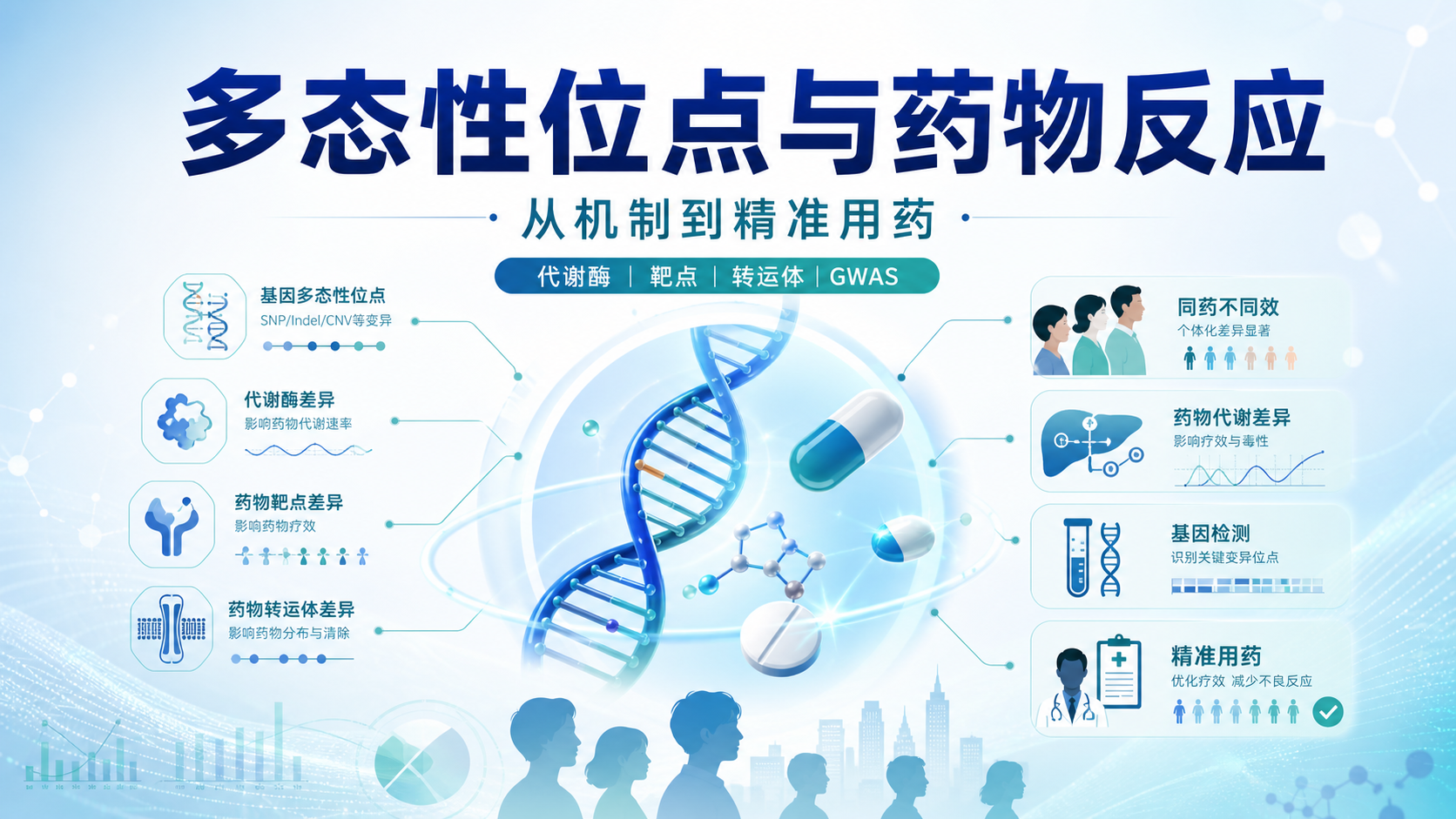 多态性位点与药物反应个体差异的研究进展
