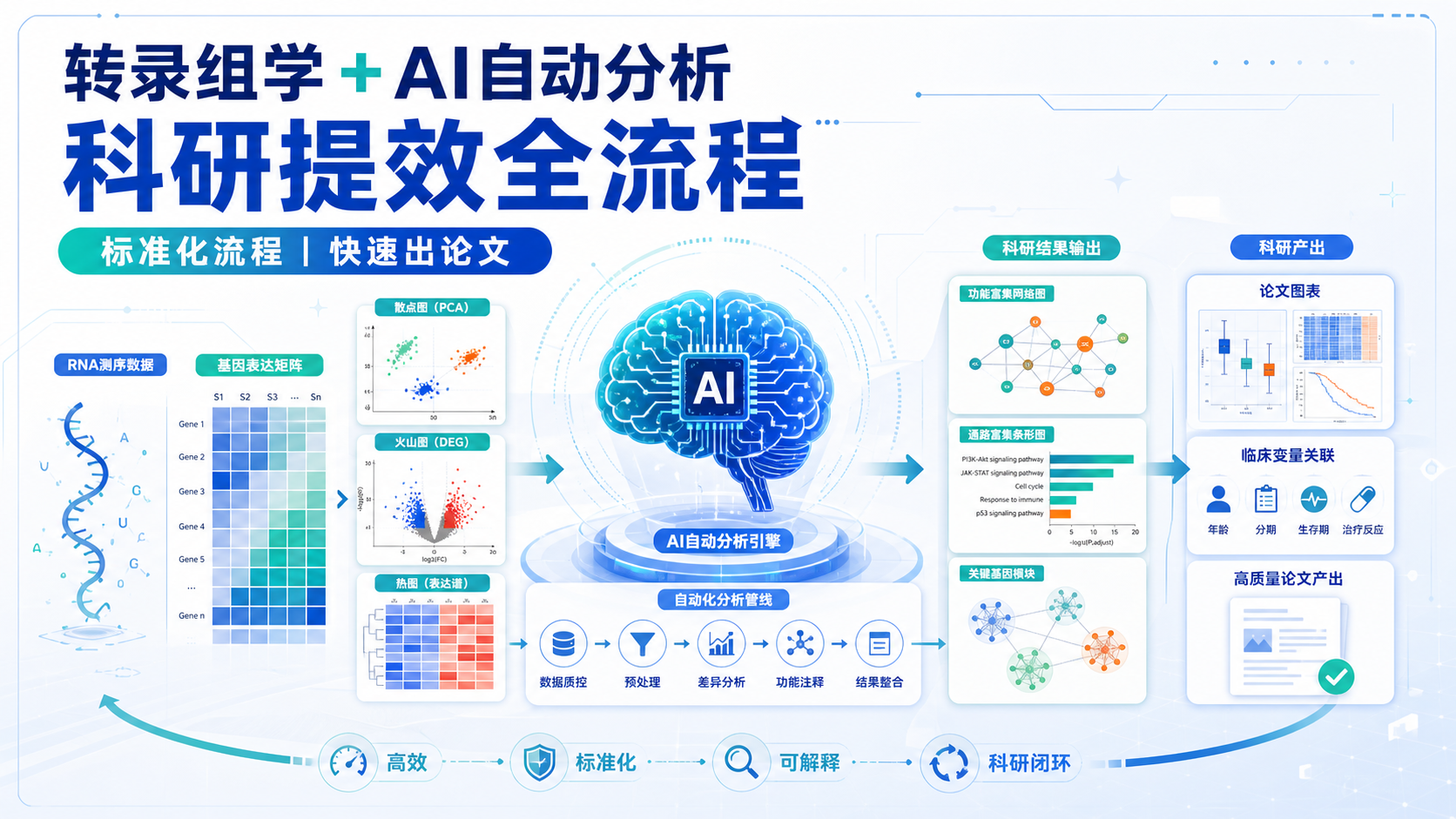 转录组学+AI自动分析：加速科研产出的实战策略