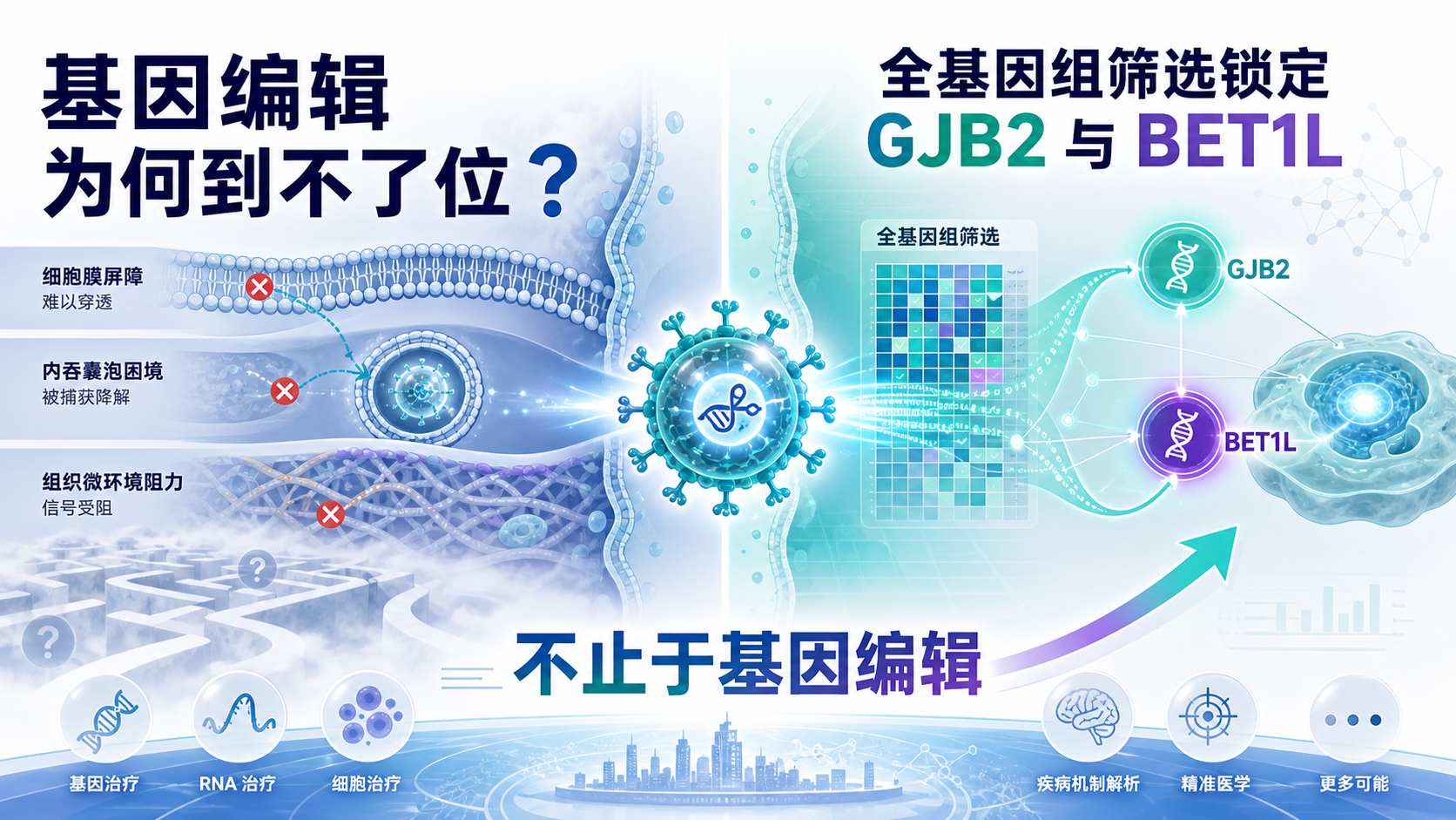 每日资讯速递2026-08-13-威斯康星大学发现阻碍基因编辑的两个关键基因