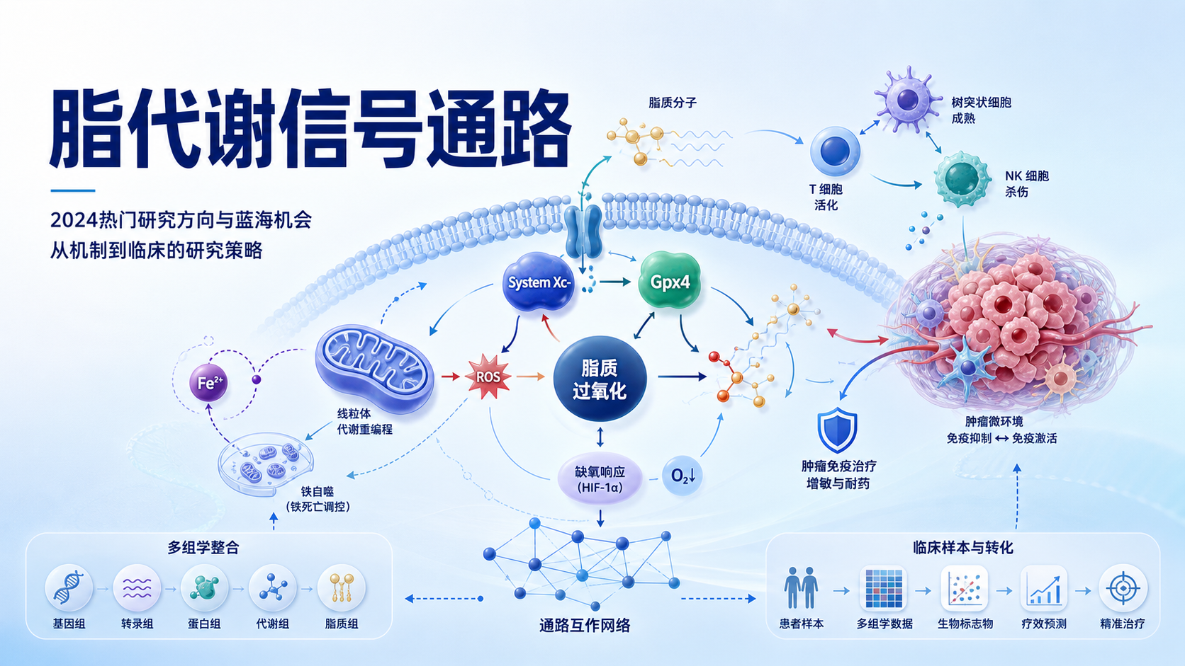 脂代谢信号通路研究热点与高价值蓝海方向