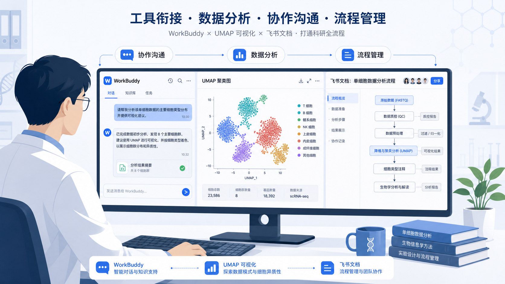 科研人员在电脑前同时查看WorkBuddy对话界面、UMAP聚类图和飞书文档流程图，突出“工具衔接”与“科研工作流”