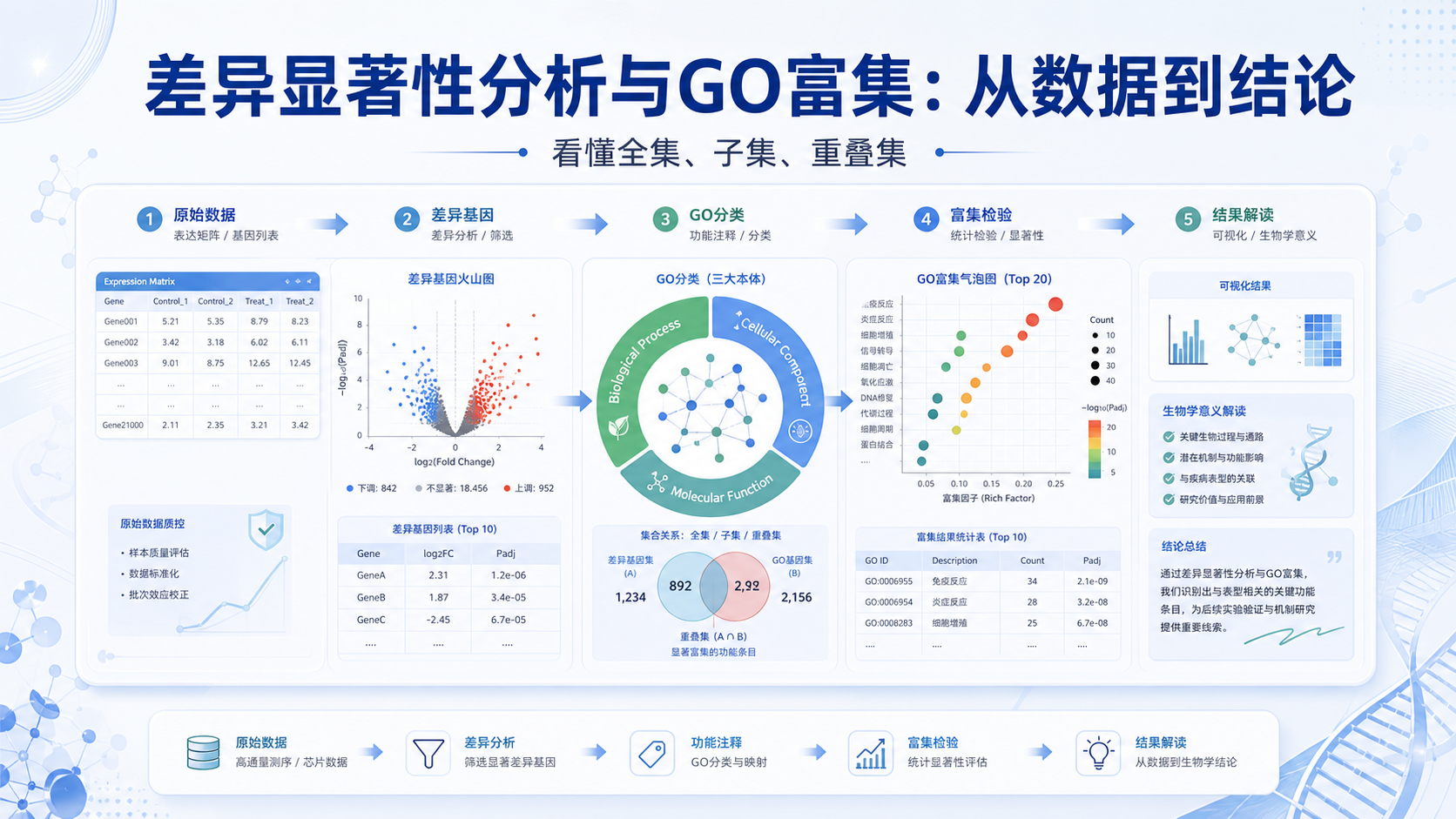差异显著性分析的底层逻辑：基因集运算与GO分类解读