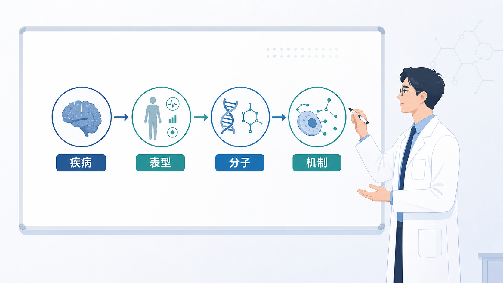 科研人员在白板前梳理论文逻辑,旁边有疾病、表型、分子、机制四个模块和箭头连接的流程图