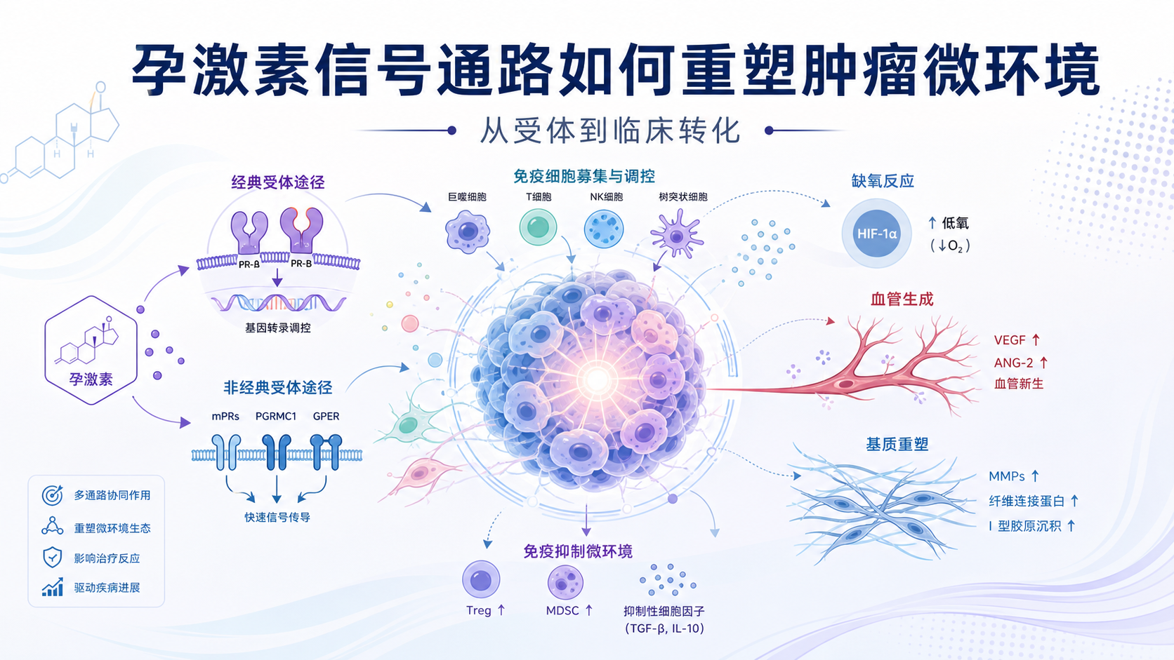 孕激素信号通路调控肿瘤微环境新机制