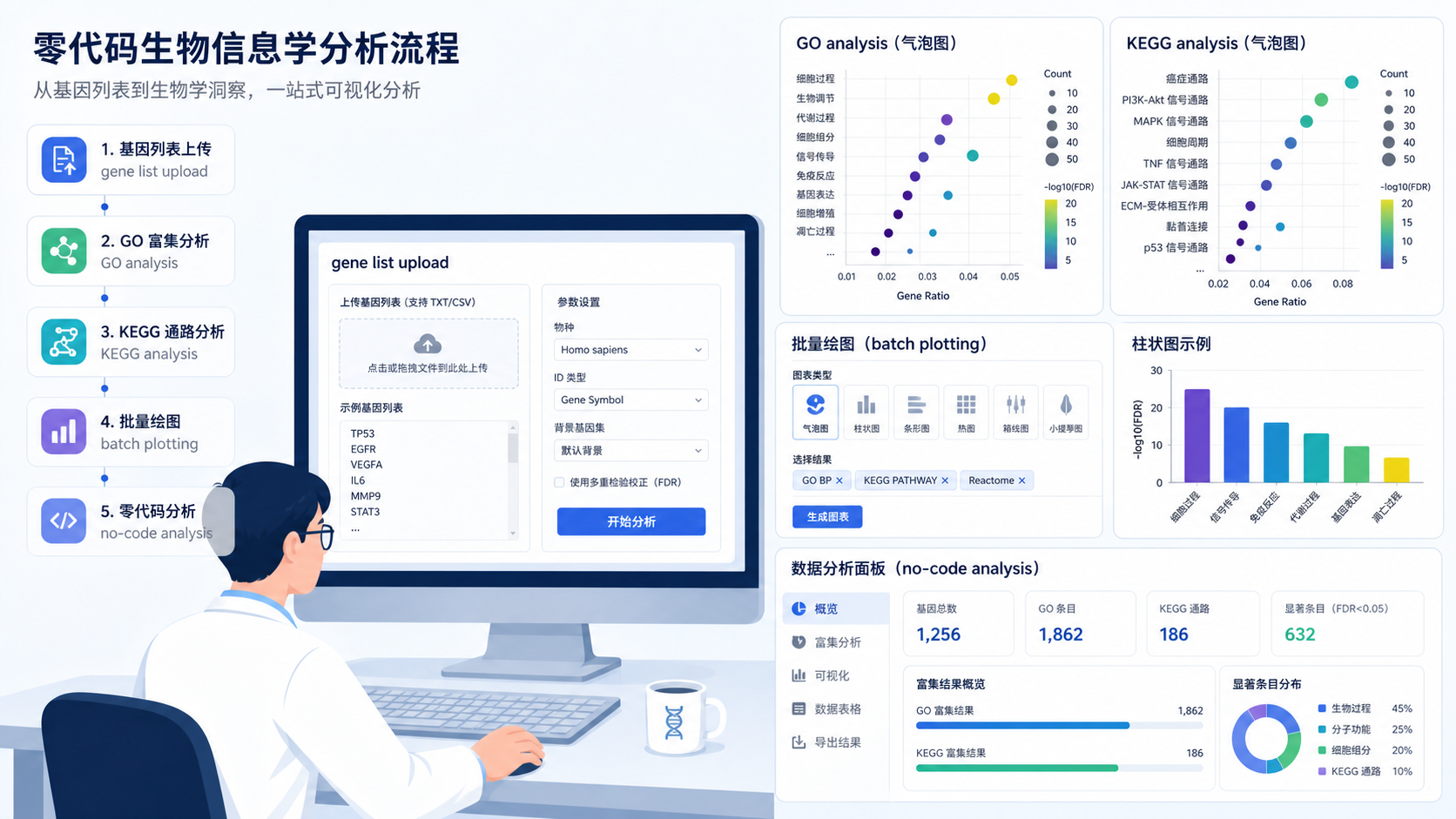 科研人员在电脑前上传基因列表,旁边展示GO和KEGG气泡图、柱状图及批量绘图界面,突出零代码分析流程