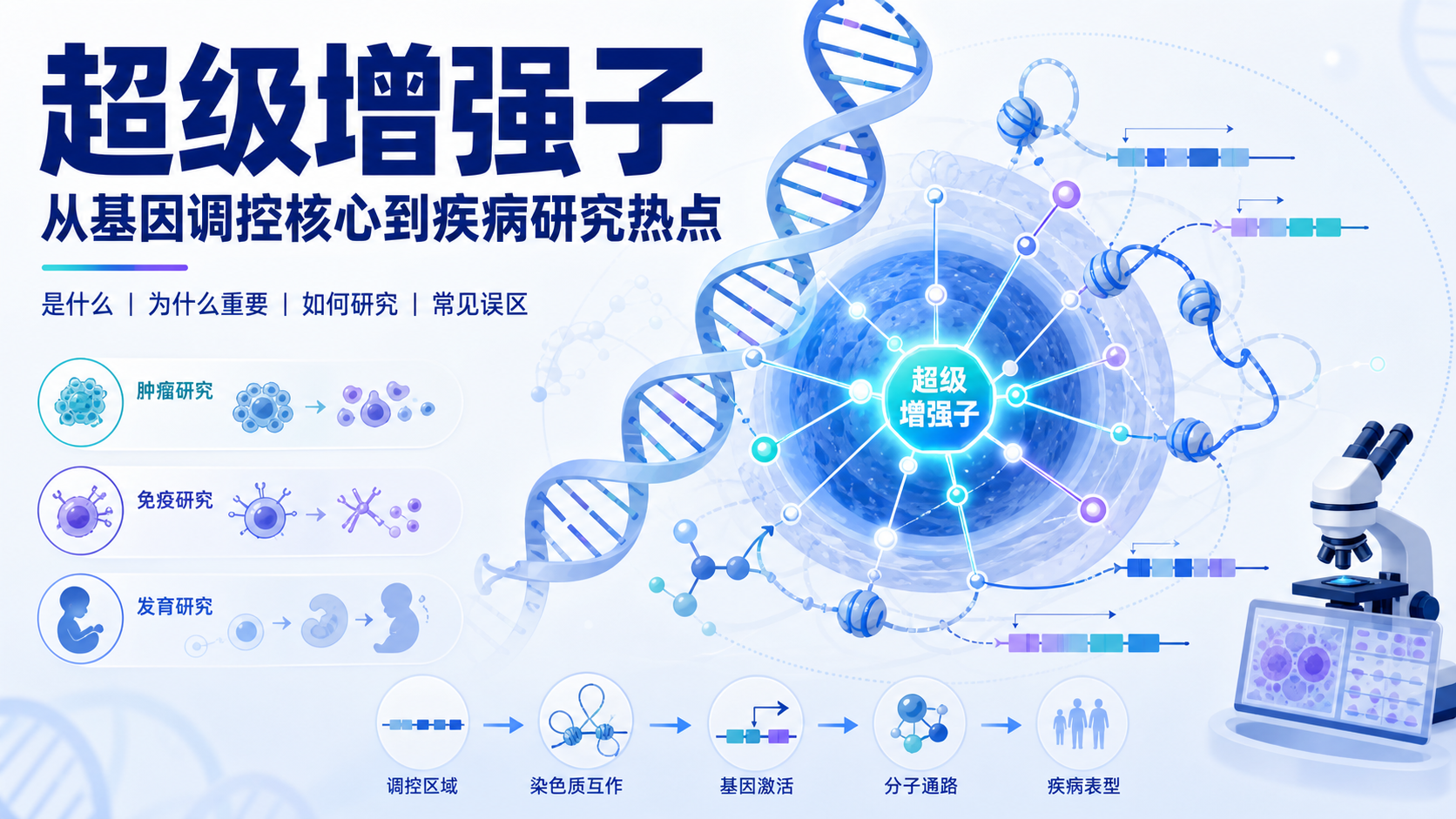解码超级增强子：基因调控网络中的核心角色