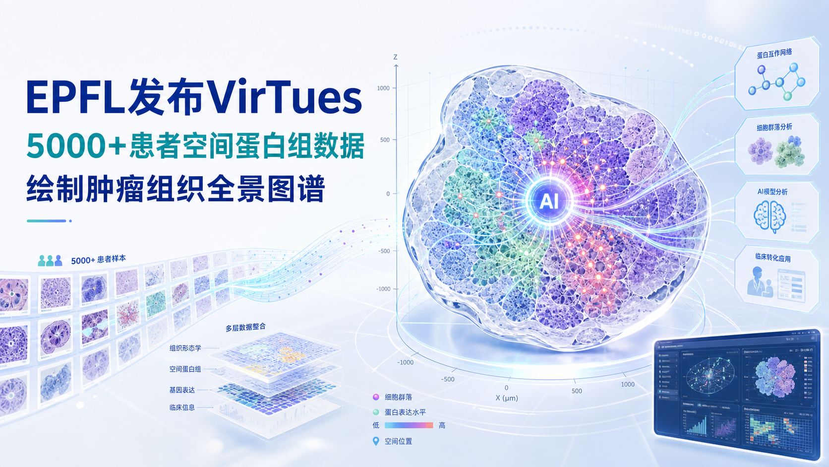 2026-08-11资讯-Nature_VirTues空间蛋白组学基础模型发布