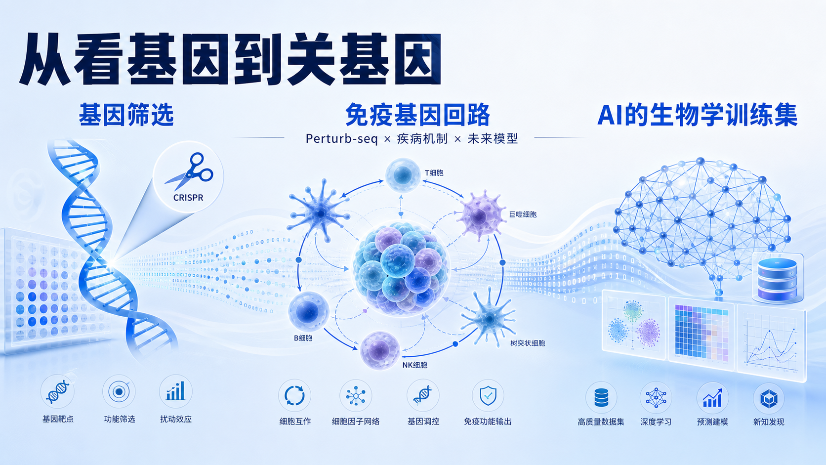 每日资讯速递2026-08-30-Gladstone绘制2200万人类T细胞功能图谱解码免疫回路