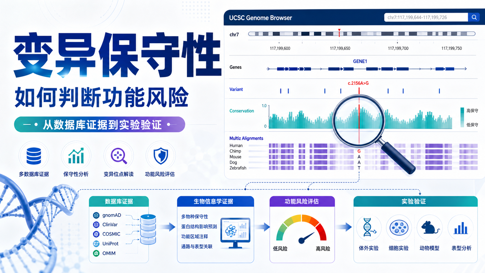 新突破:变异保守性如何重塑基因功能预测
