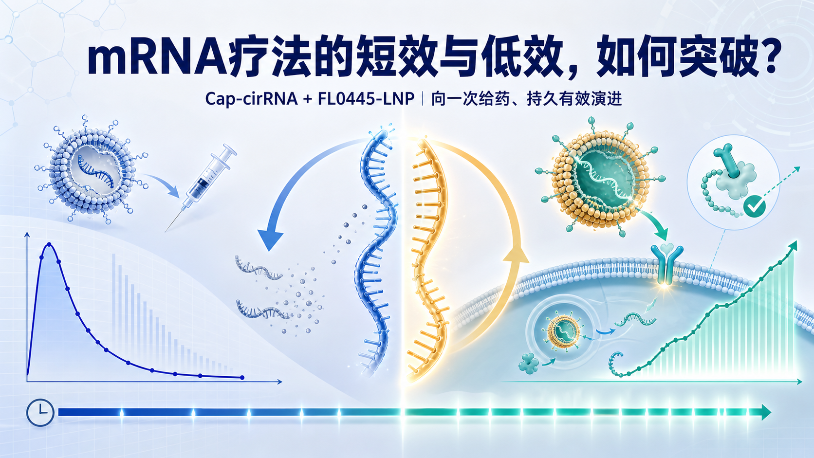 每日资讯速递 2026-08-23|名古屋大学联合富士胶片:新型LNP递送带帽环状RNA