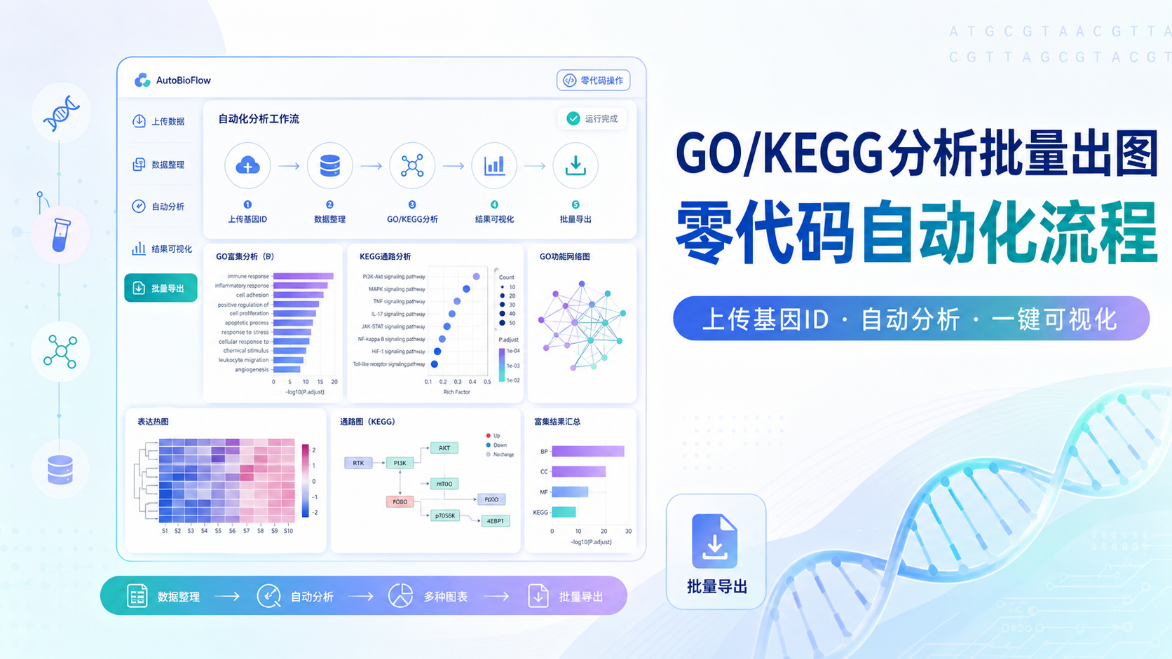 AI辅助GO/KEGG：仙桃个人助理实现零代码批量绘图