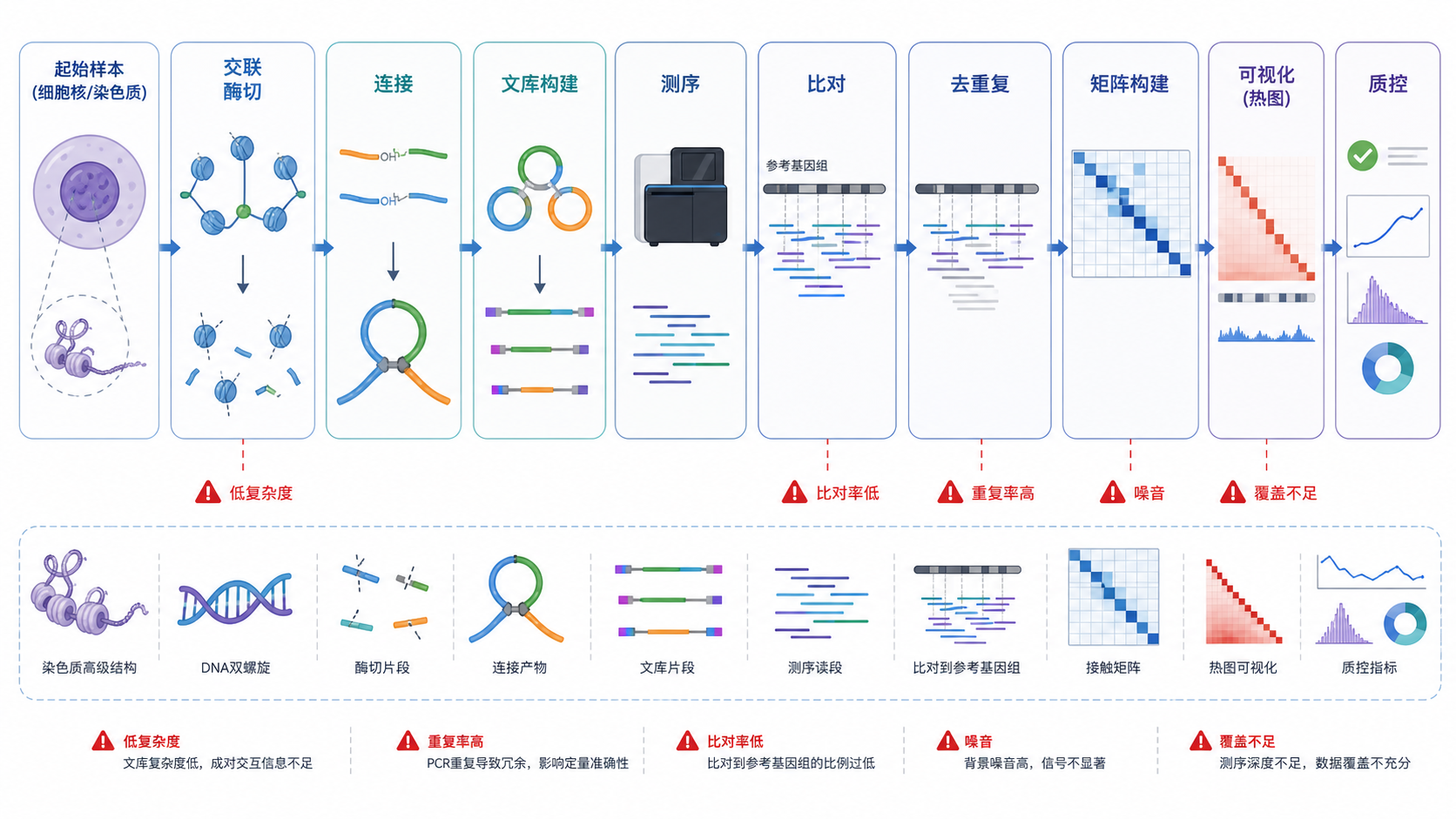 一张Hi-C实验与数据分析流程图，突出文库构建、测序、比对、去重复、矩阵构建和质控警示点。
