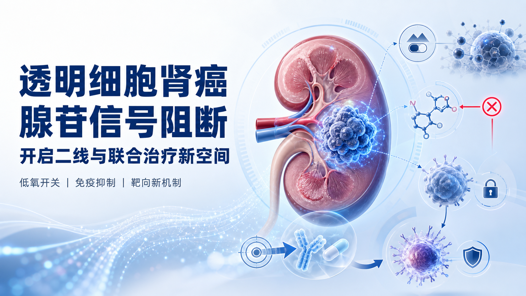 每日资讯速递2026-08-20-casdatifan肾癌持久缓解