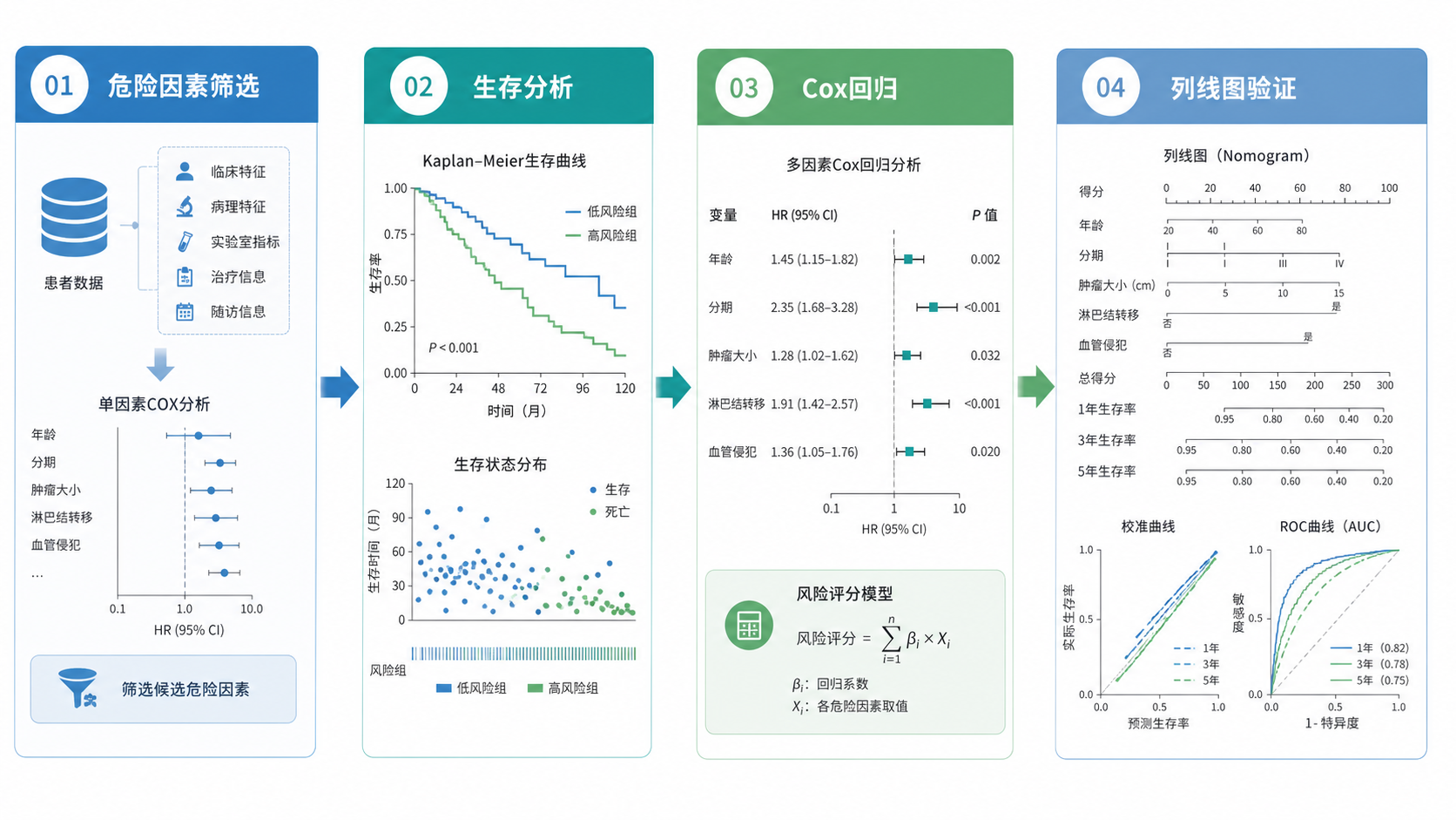 一张肿瘤预后研究流程图,包含危险因素筛选、生存分析、Cox回归、列线图验证四个模块,风格简洁专业