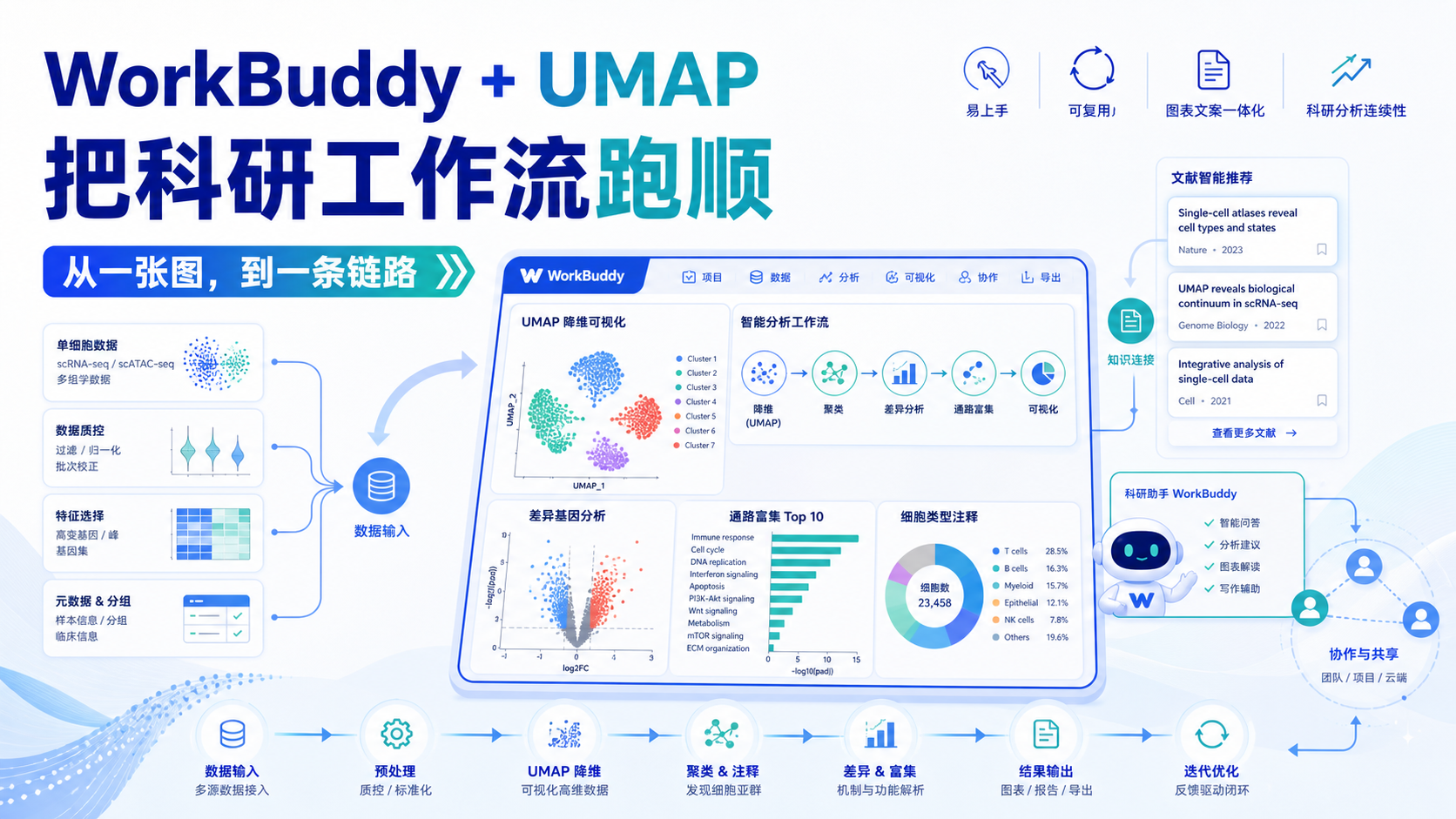 告别飞书困扰：WorkBuddy携手UMAP降维构建科研新工作流