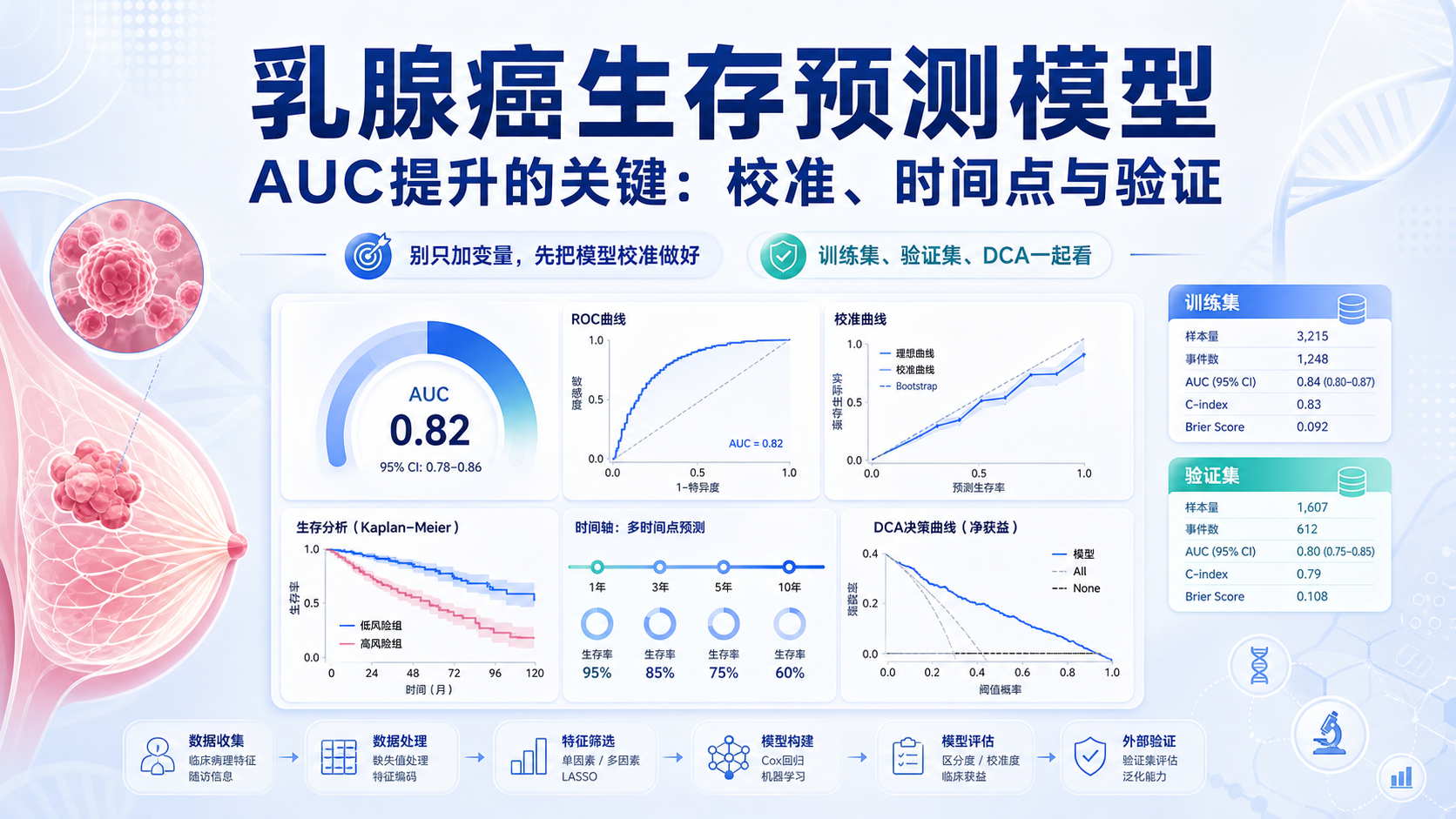 提升乳腺癌生存预测模型AUC值的三个关键校准步骤