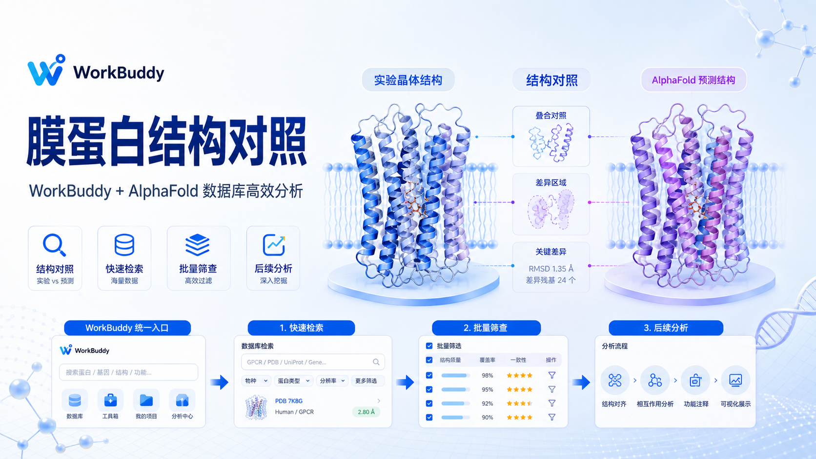 利用WorkBuddy访问AlphaFold库：高效获取膜蛋白晶体结构对照