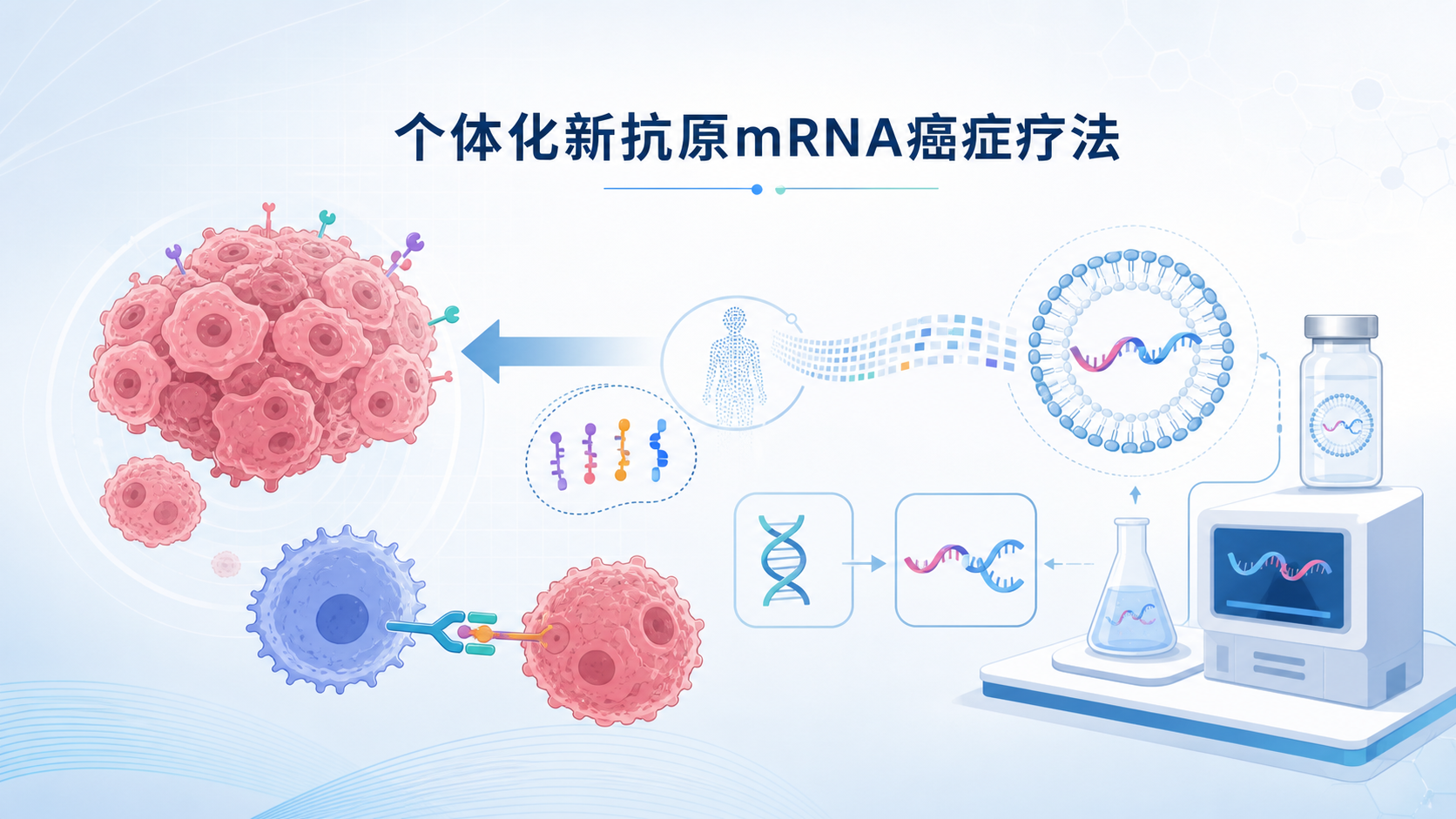 2026年8月19日资讯,Moderna与默沙东(Merck)宣布,个体化新抗原mRNA癌症疗法intismeran autogene(原名mRNA-4157/V940)联合帕博利珠单抗(Keytruda)在黑色素瘤Ⅲ期临床试验INTerpath-001中达到主要终点无复发生存期(RFS)与关键次要终点无远处转移生存期(DMFS)。这是全球首个取得阳性Ⅲ期结果的个体化新抗原疗法,也是首个取得阳性Ⅲ期结果的mRNA癌症疗法,其新抗原筛选环节由AI算法深度参与。